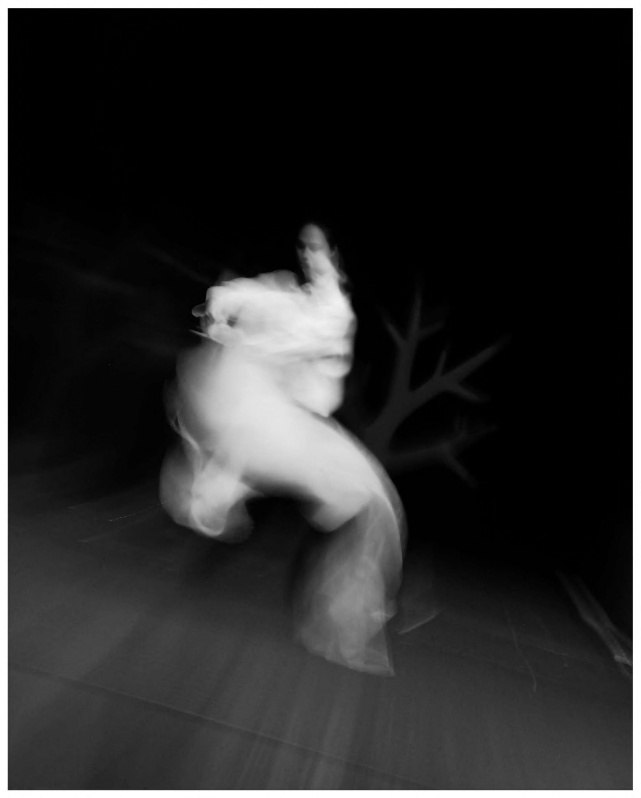 Дарья Явныч