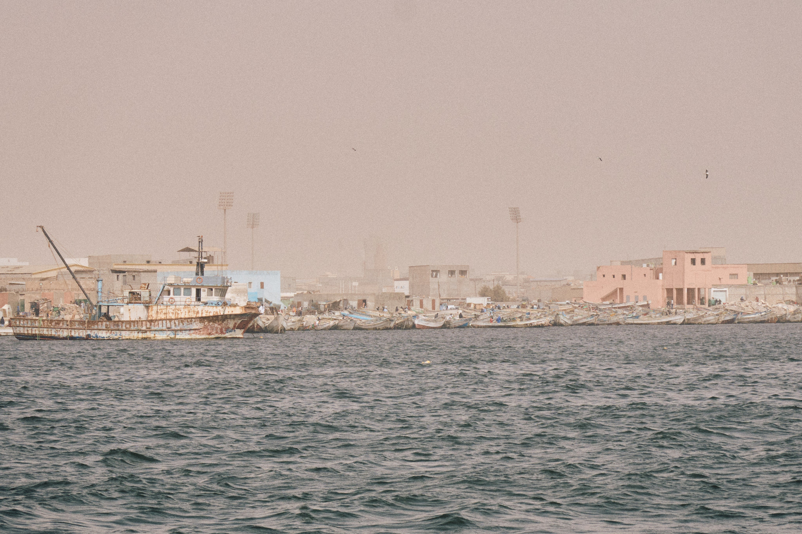 Morocco-Gambia. See the moment and catche. commercial and reportage