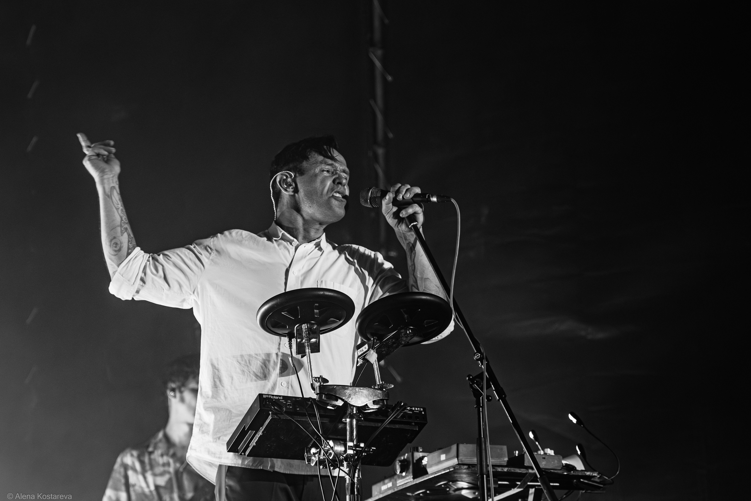 Dolphin. Алена Костарева. Фотограф в Ростове-на-Дону