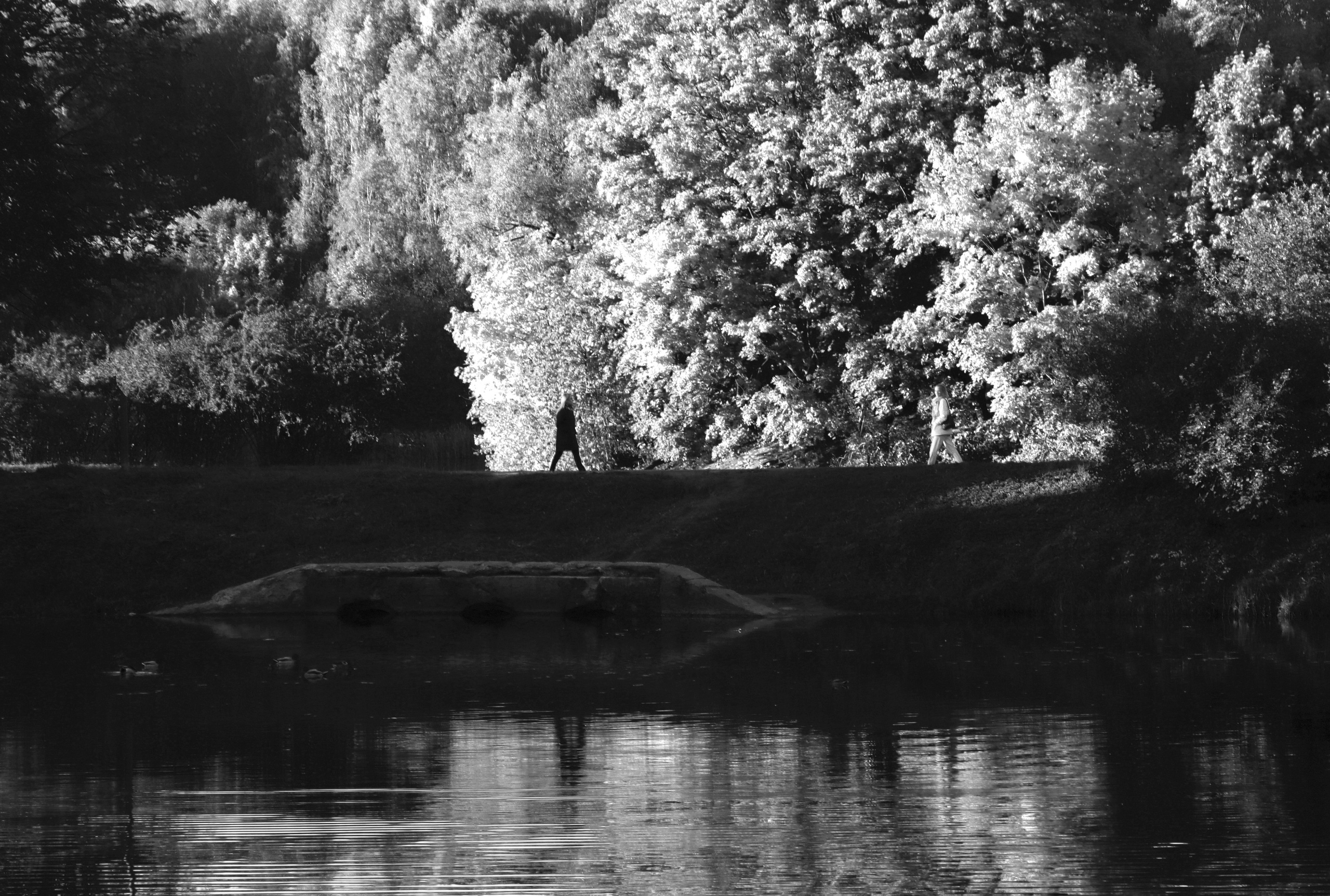 У воды. Главная