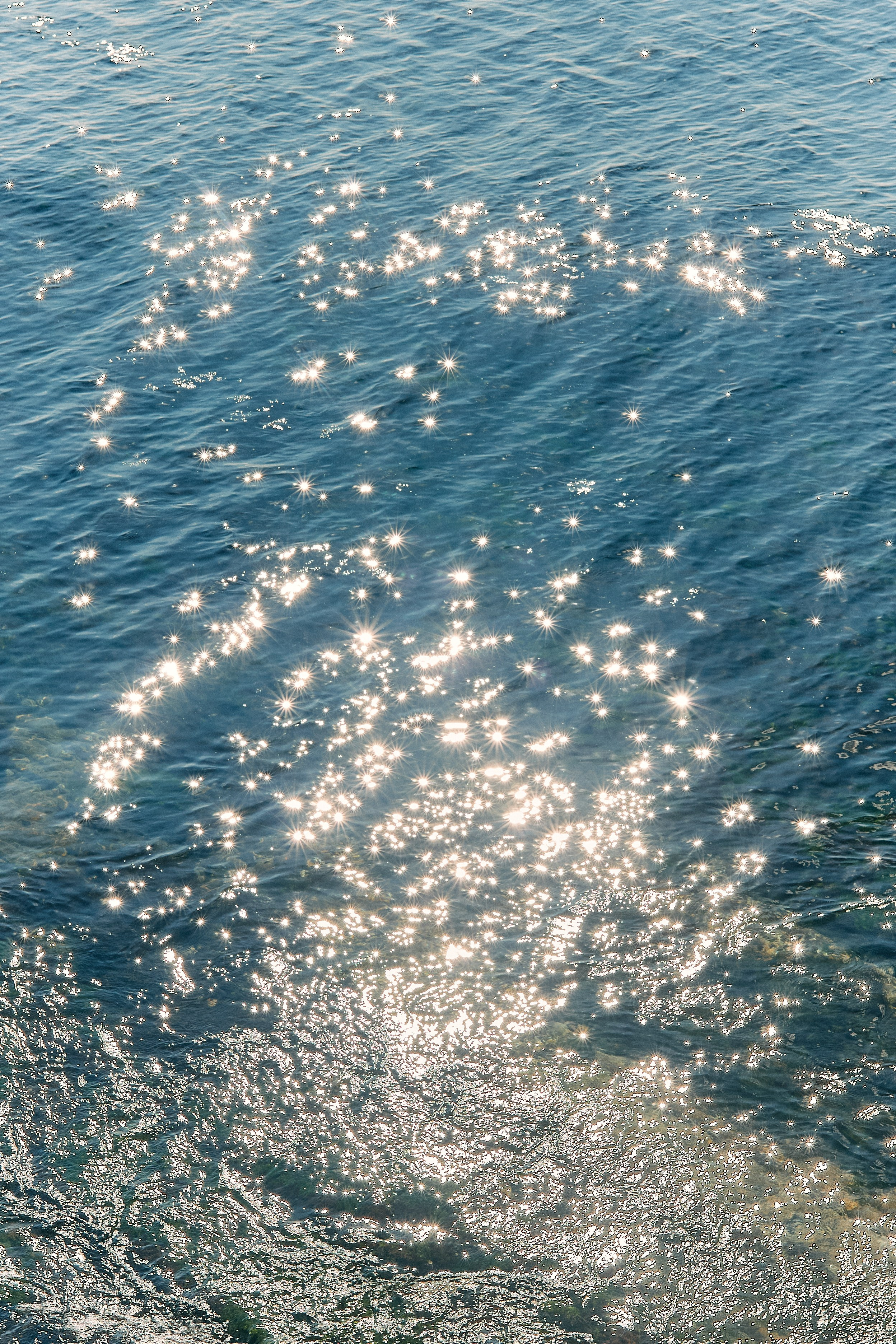 Юг России. Профессиональный Фотограф во Владимире, в Москве и в Суздале — Полина Романычева