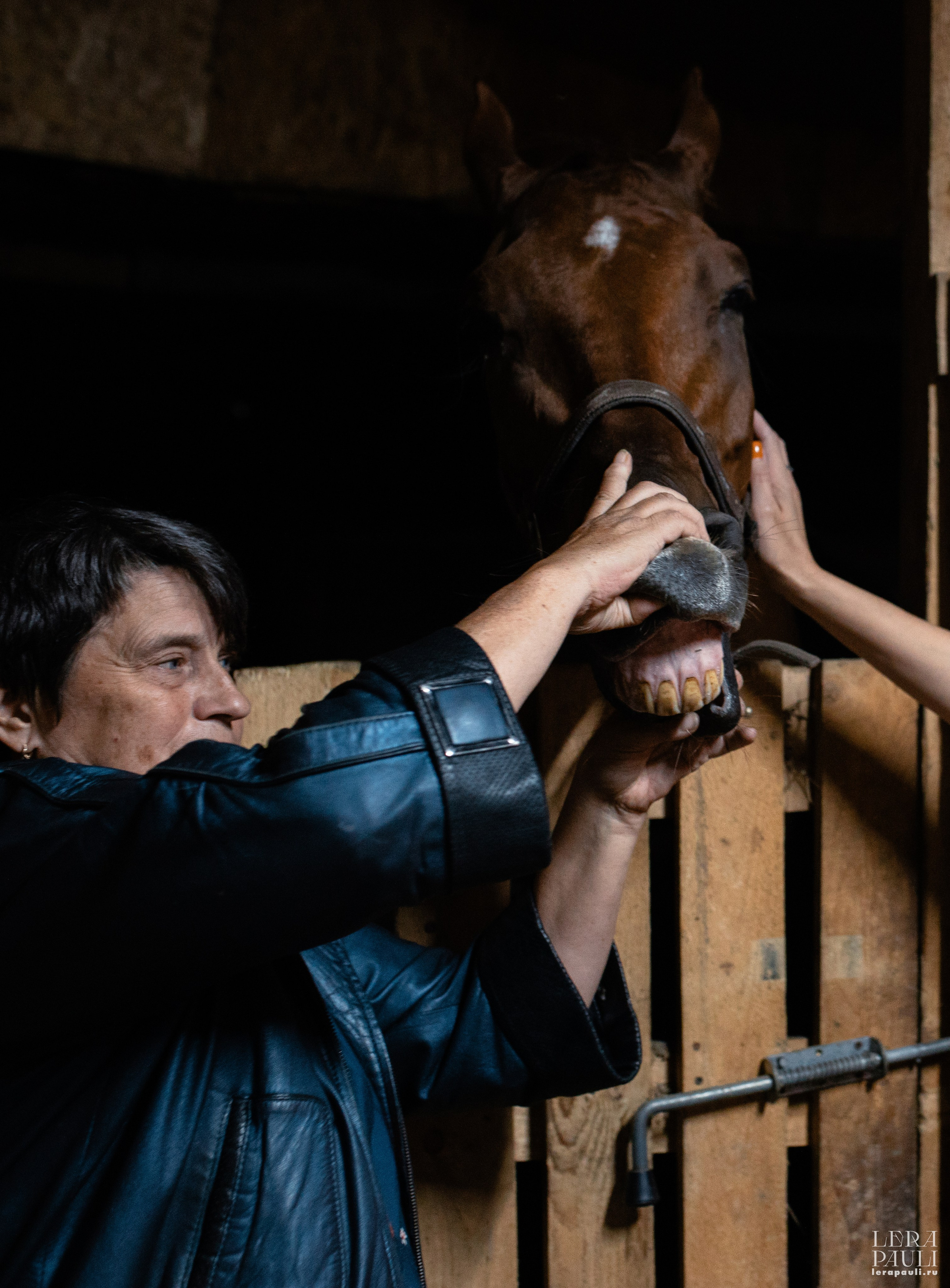 ДПСО «ЛизаАлерт». Главная