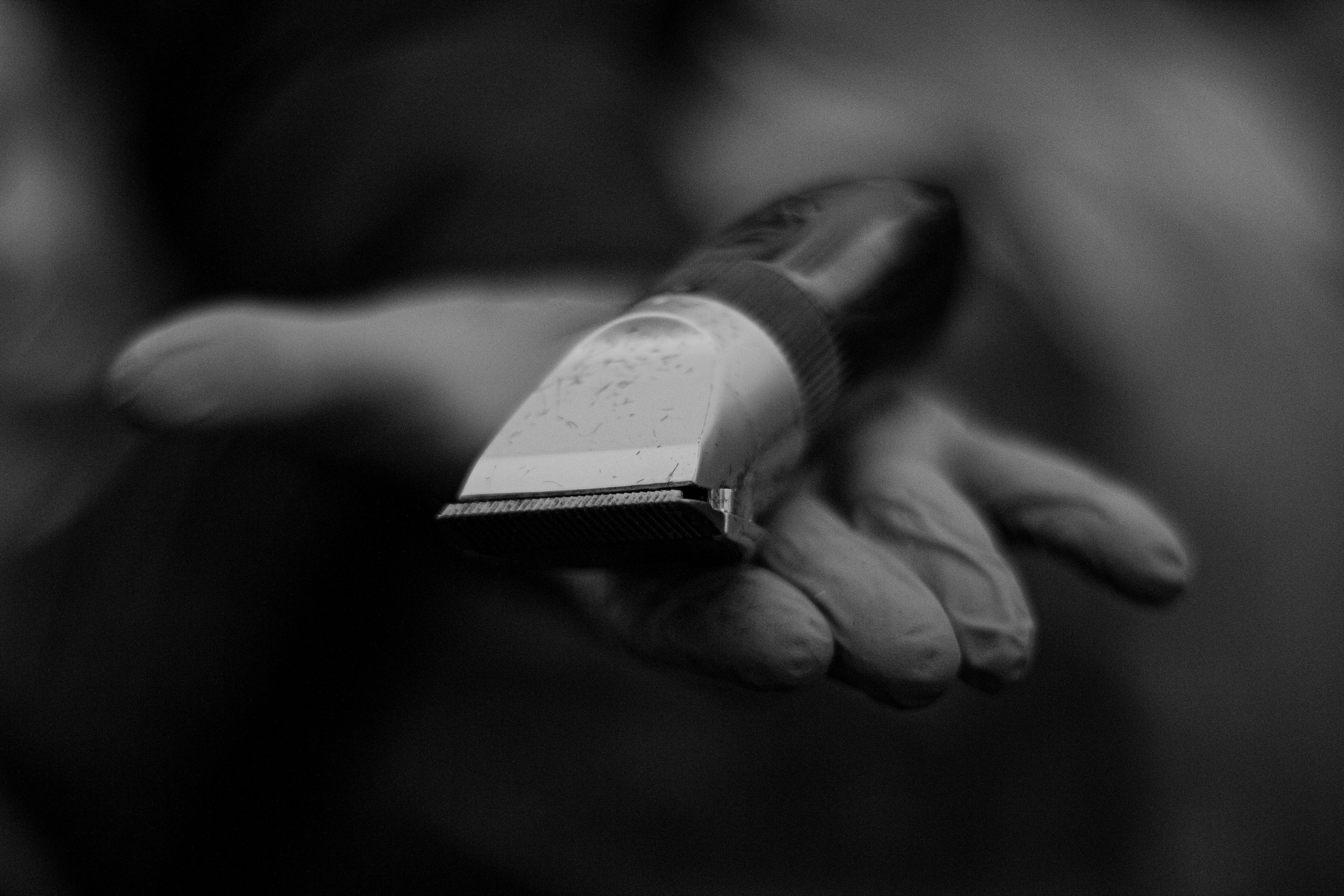 Съемки для фонда Доктор Лиза. Фотограф Алекс Беранже