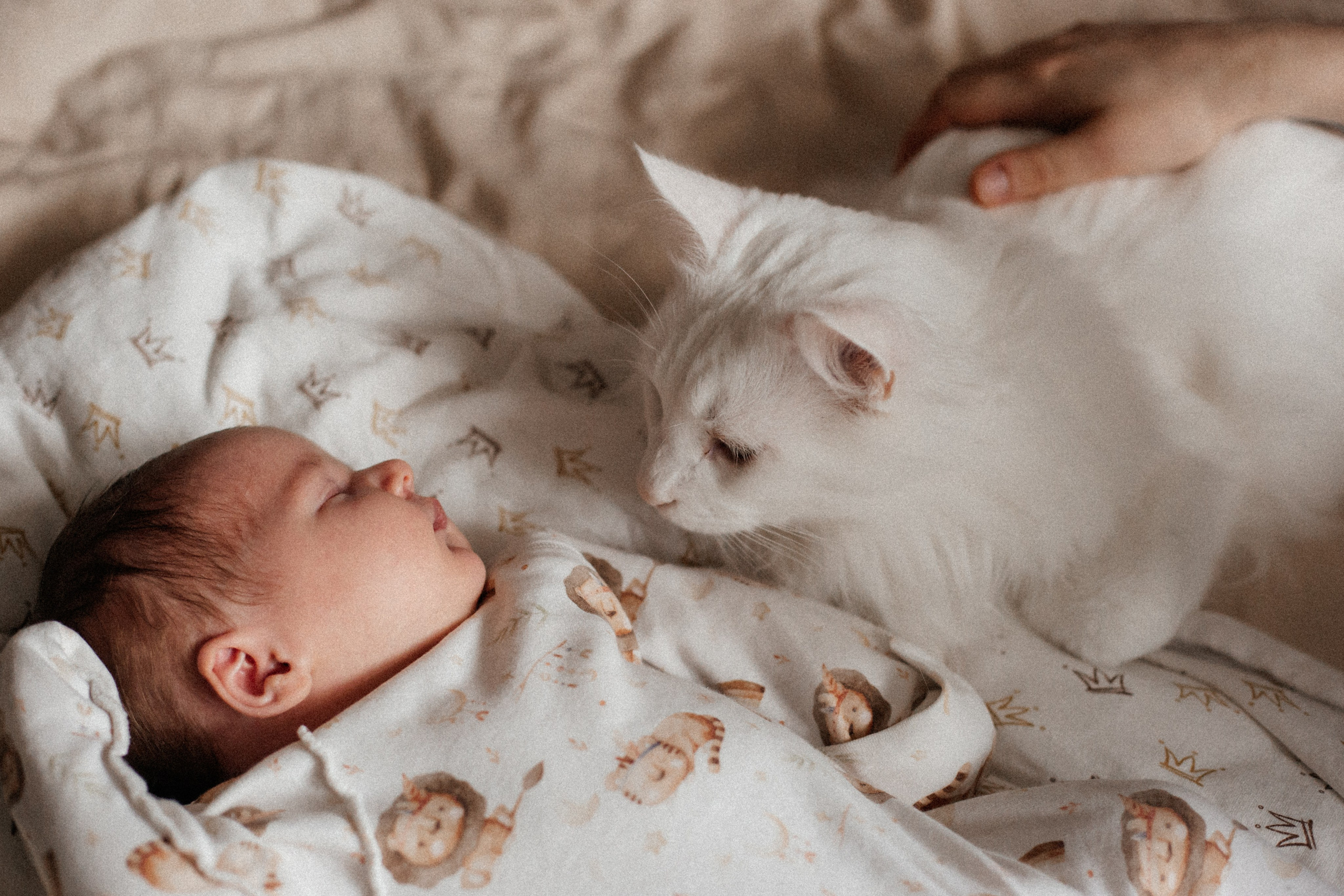 Ева. Семейный фотограф Виктория Потехина Москва