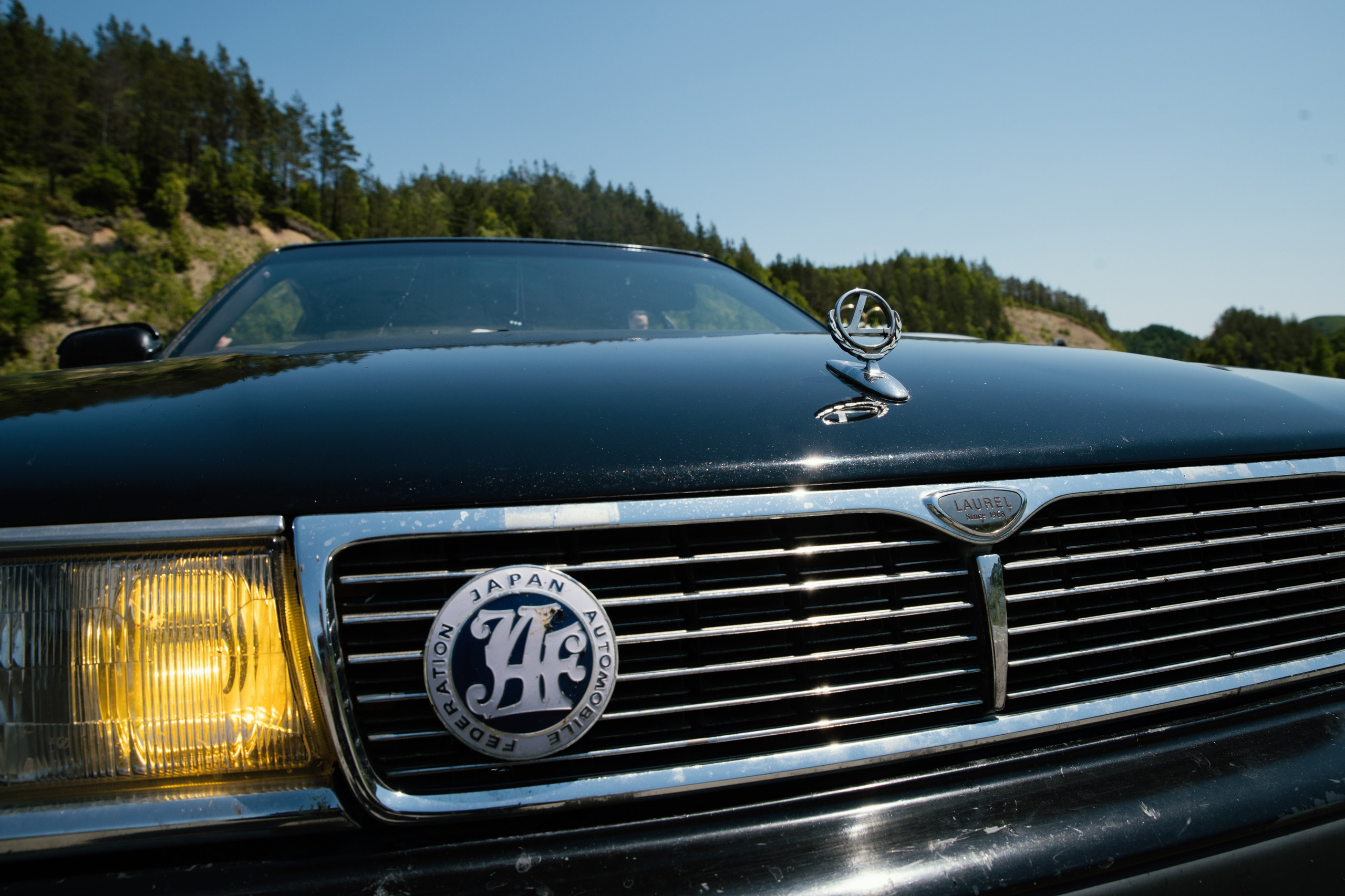 Вова и Надя. Репортажный и портретный фотограф в Санкт-Петербурге Степлевич Дарья