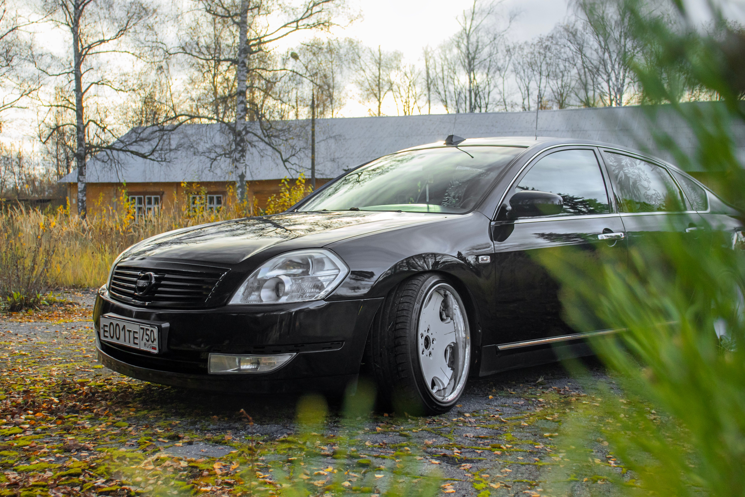 Kia ceed & Nissan Teana J31