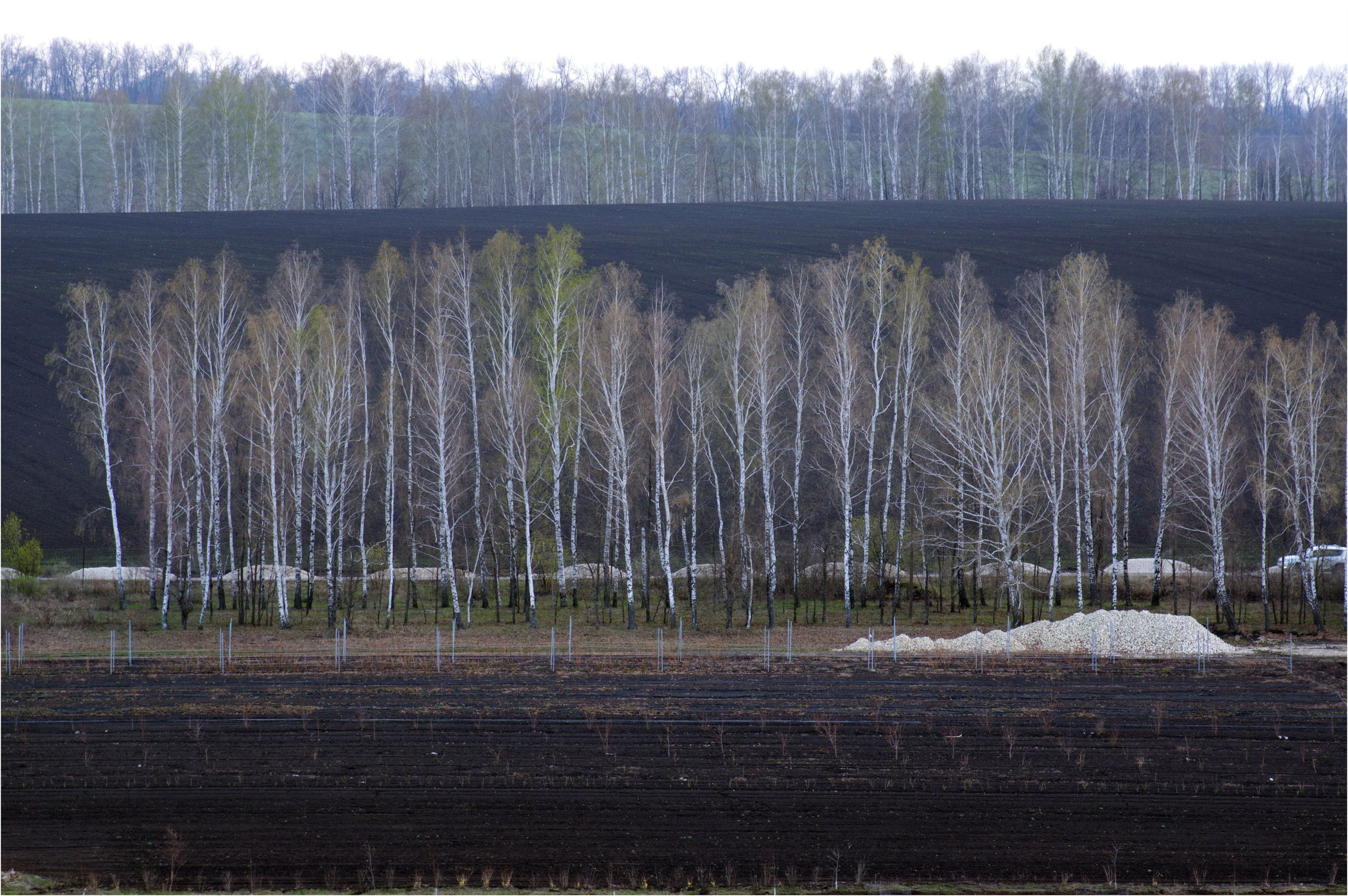 Липецкая обл.май