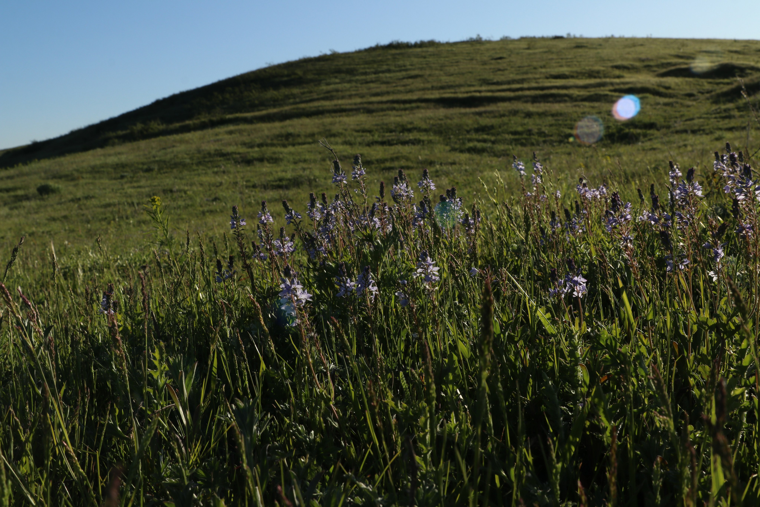 Велопоход Уфа — Мелеуз. Май 2024. Путешественник-фотограф из Санкт-Петербурга Татьяна Свистулина
