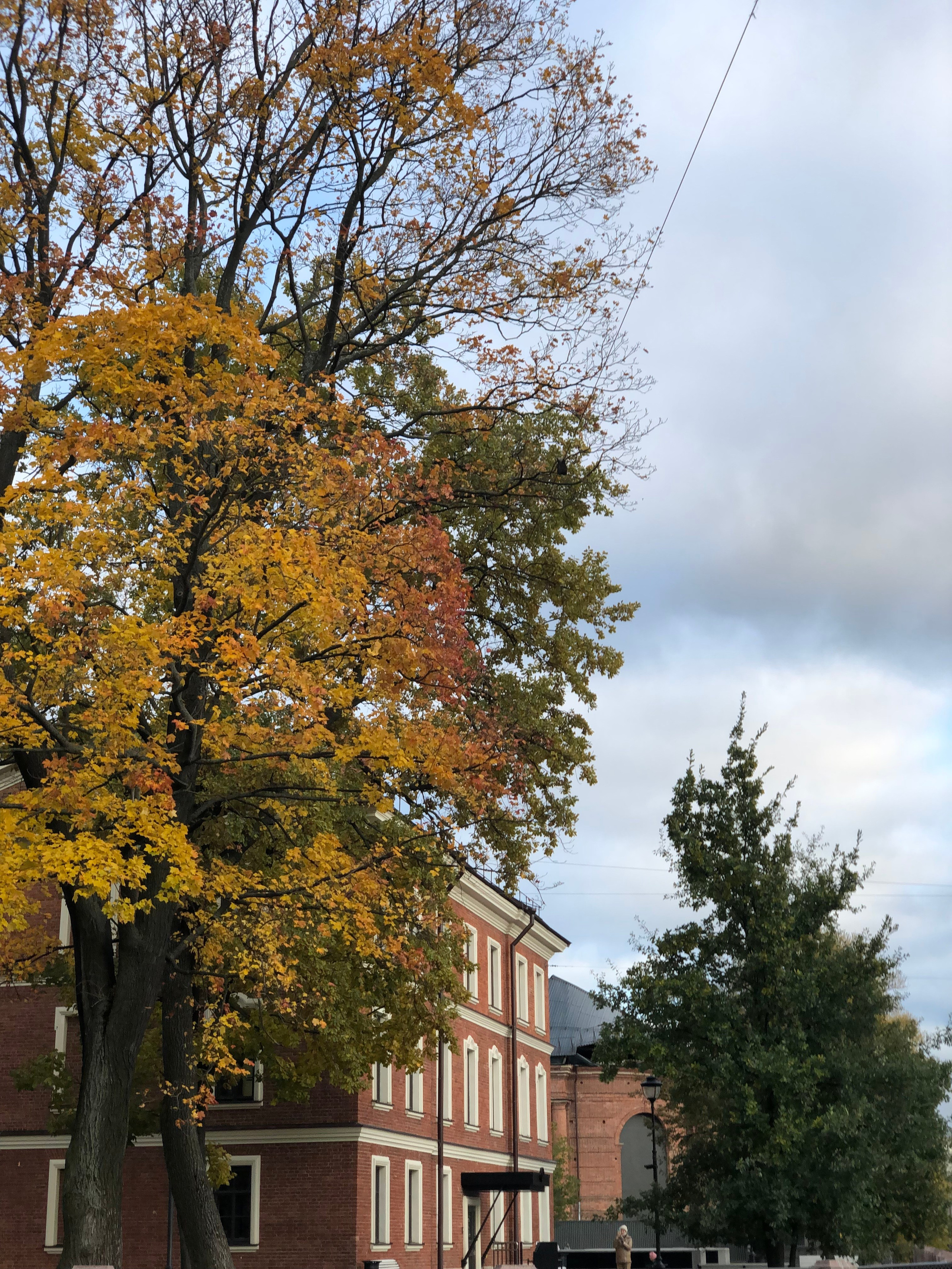 Октябрь. Семейный, Свадебный фотограф СПБ Питер— Романова Екатерина