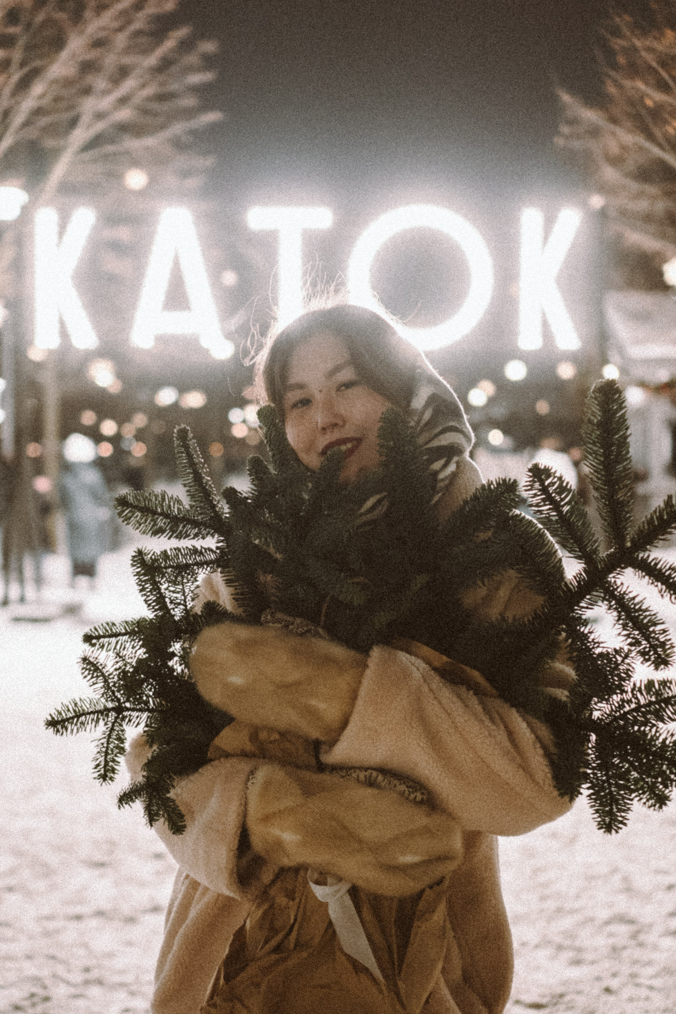 Зимняя сказка в Новой Голандии. Профессиональный фотограф, Санкт-Петербург — Виктория Богомолова