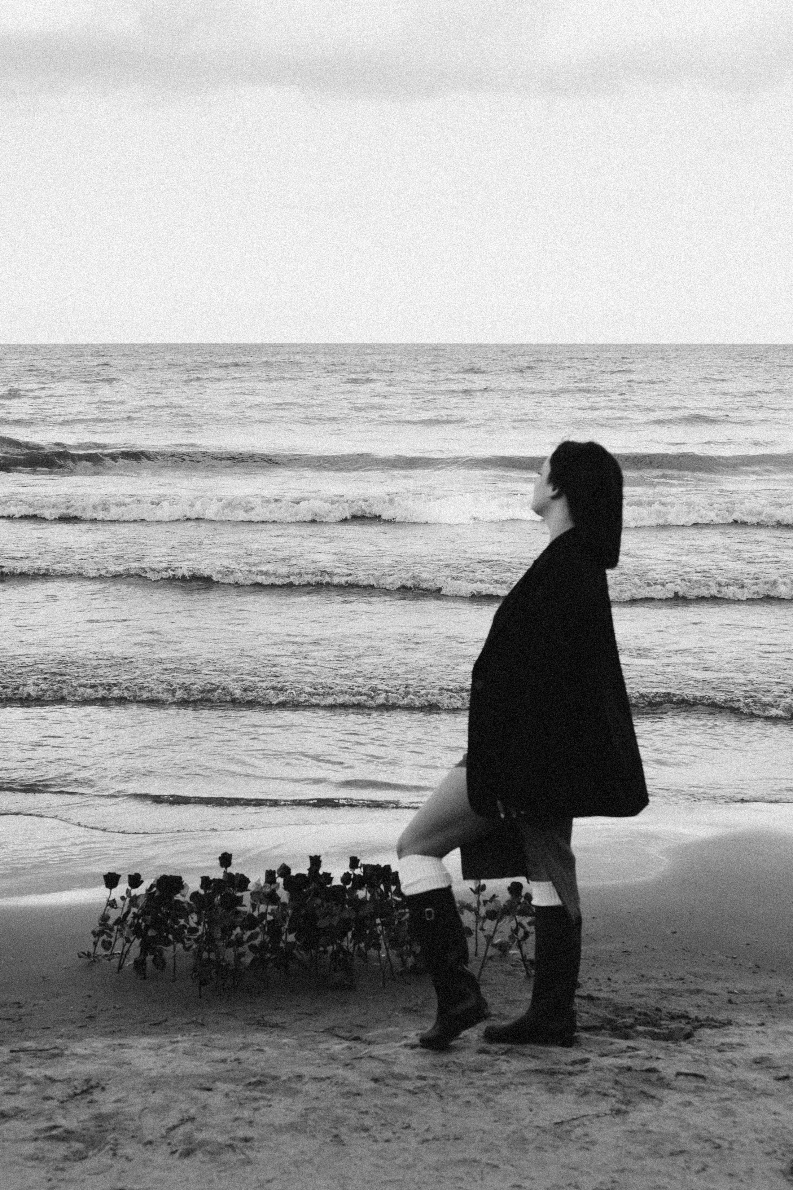 Розы. Профессиональный фотограф, Санкт-Петербург — Виктория Богомолова