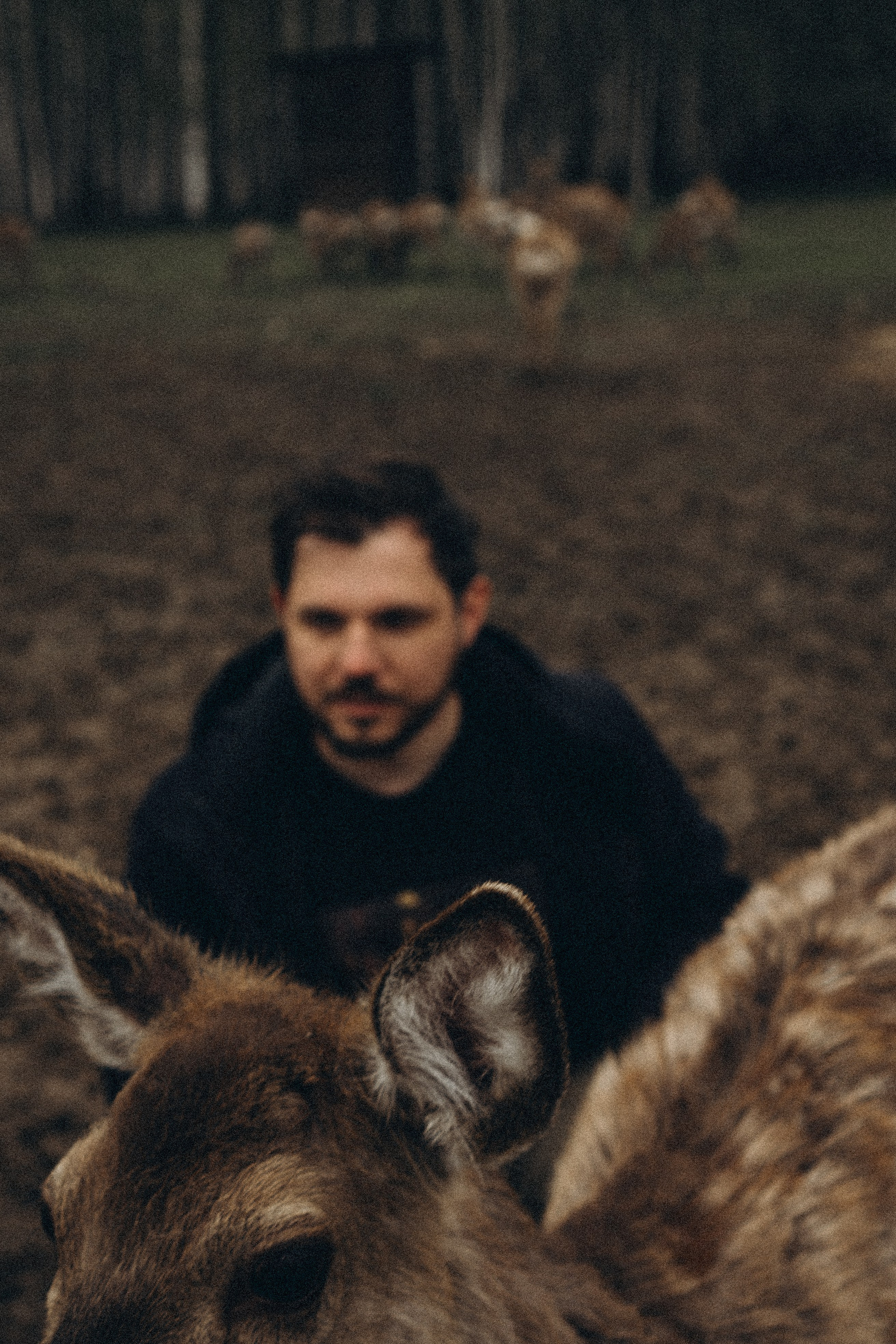 ОЛЕНЬЯ ФЕРМА В ТВЕРИ. Профессиональный фотограф, Санкт-Петербург — Виктория Богомолова