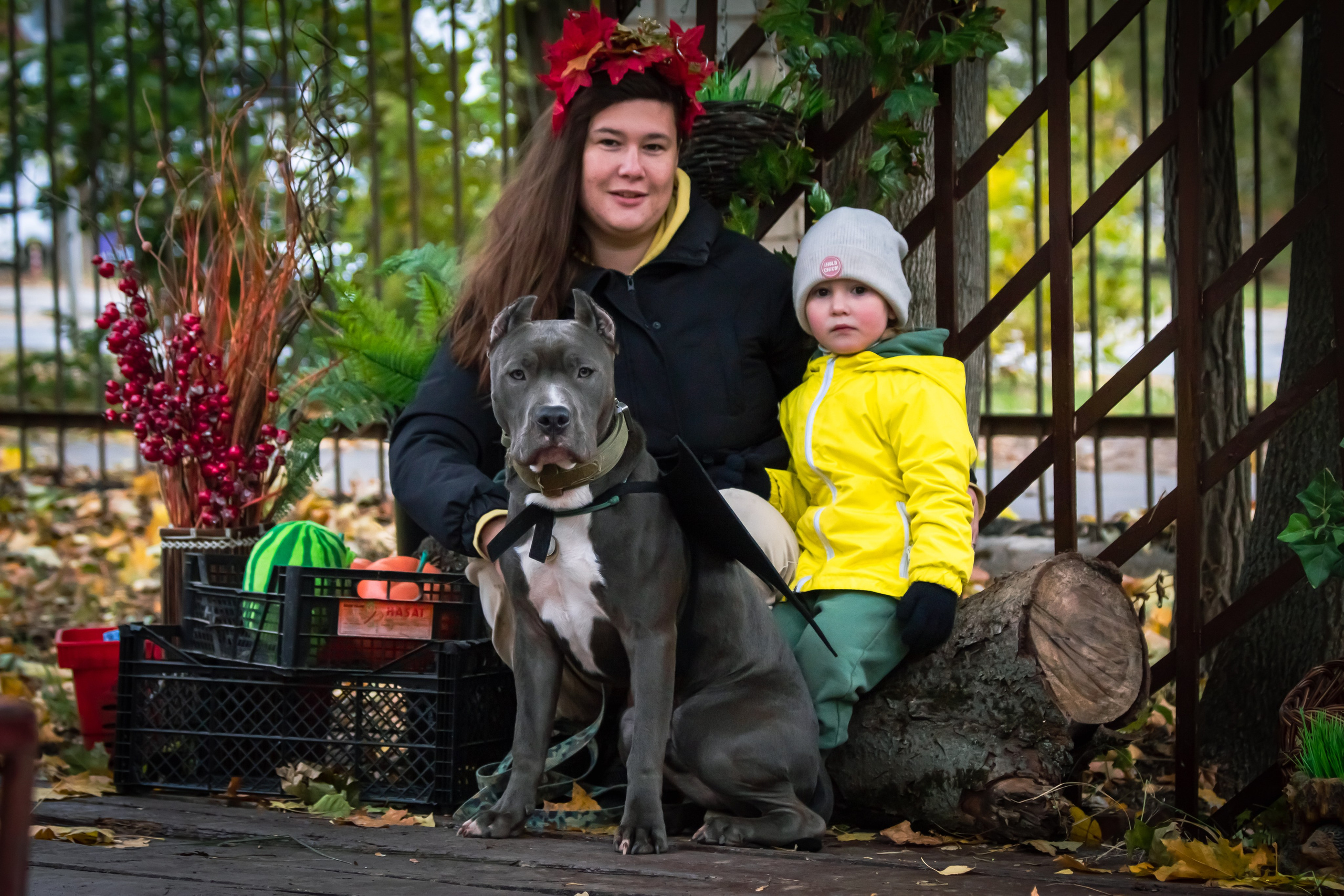 Костюмированный парад собак. Фотограф анималист — Тула, Москва
