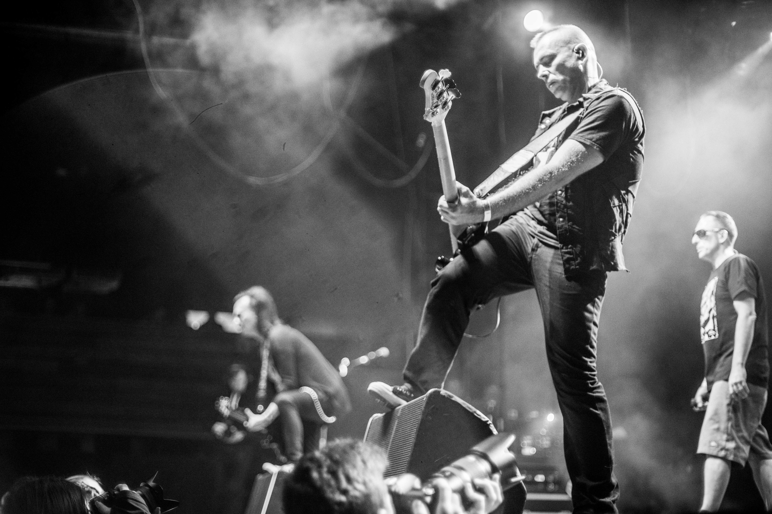 Группа Наив. Твой фотограф — Полосатый кот