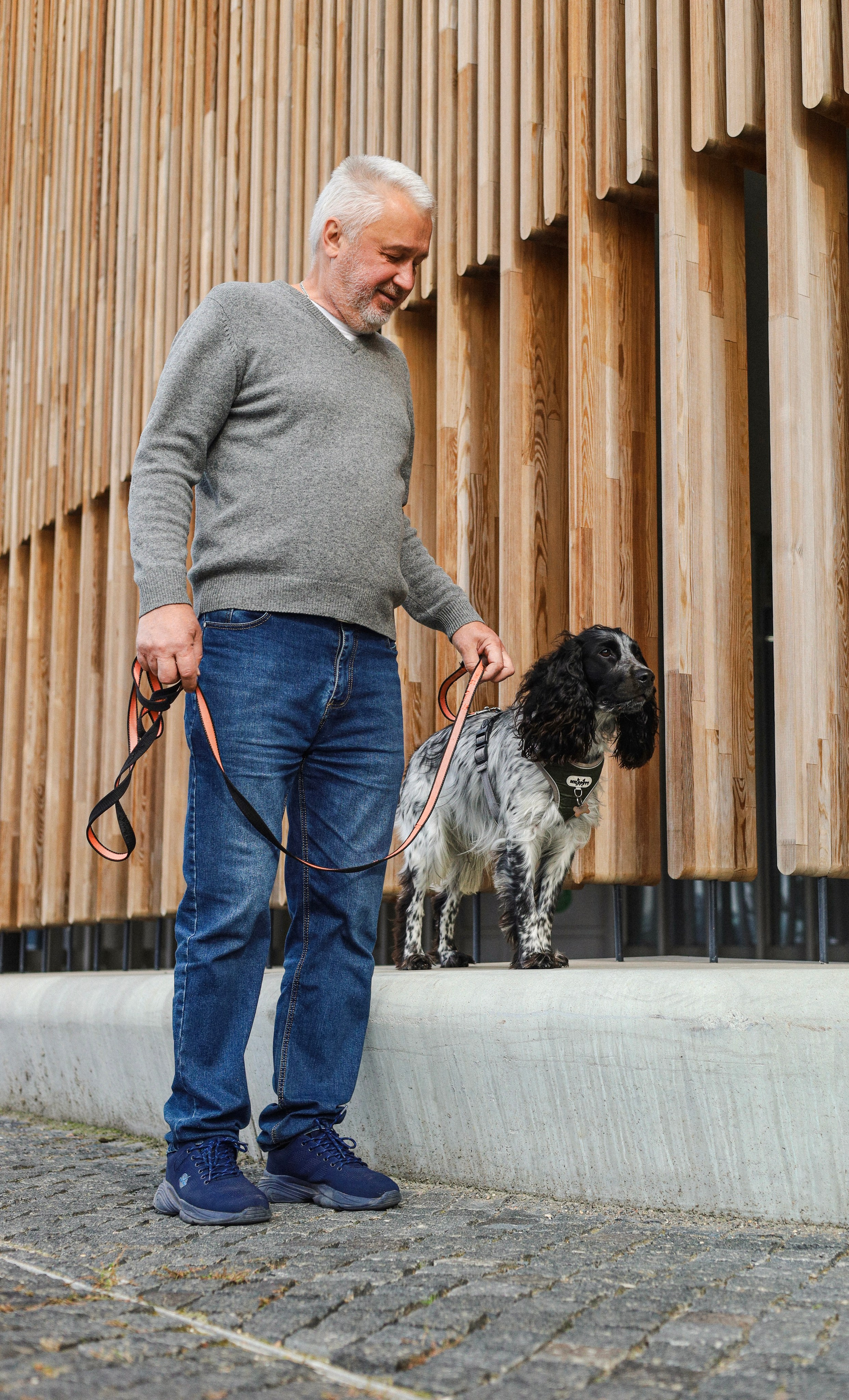 Купер и его семья. Фотограф-анималист Ксения Шевцова|Москва