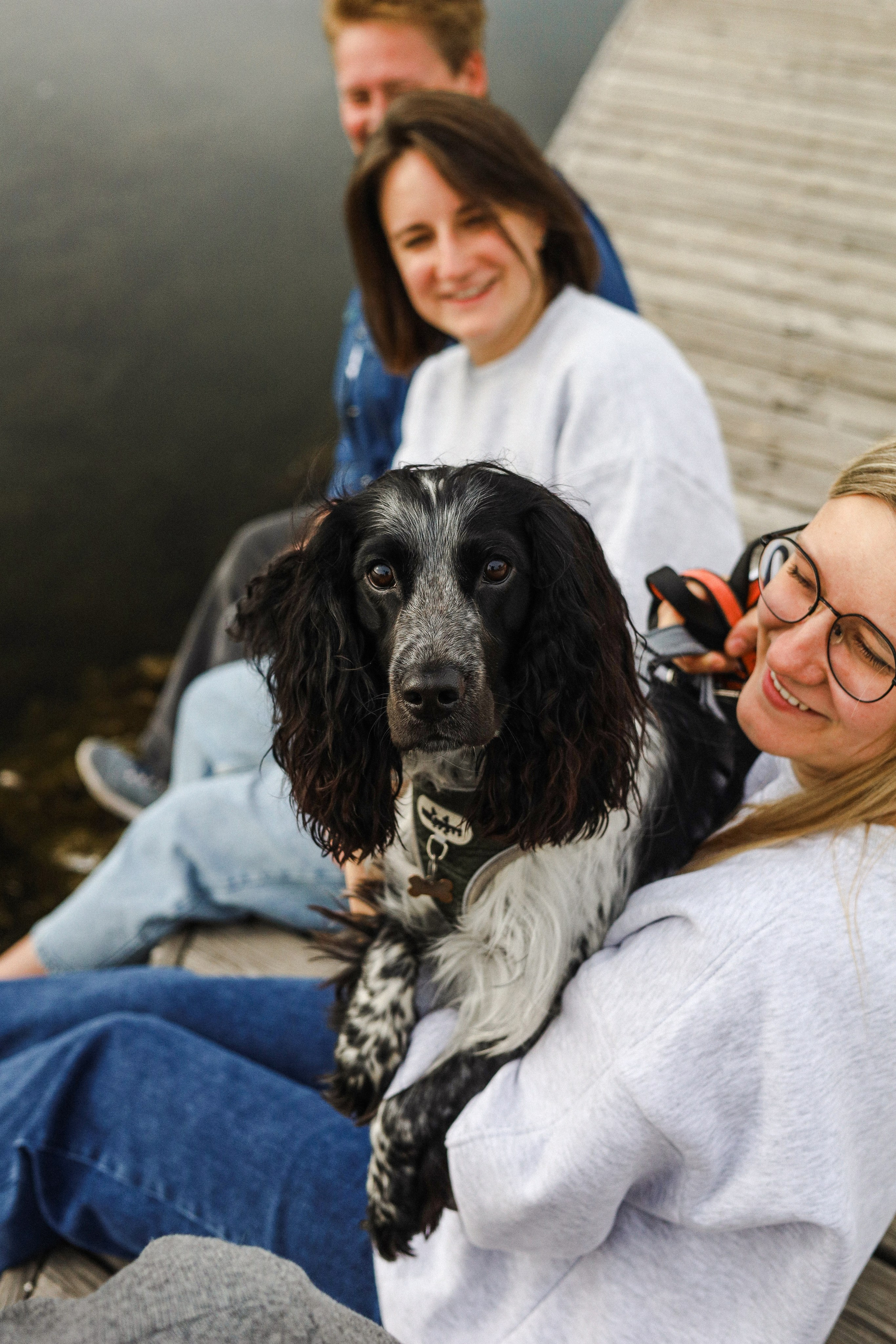 Купер и его семья. Фотограф-анималист Ксения Шевцова|Москва