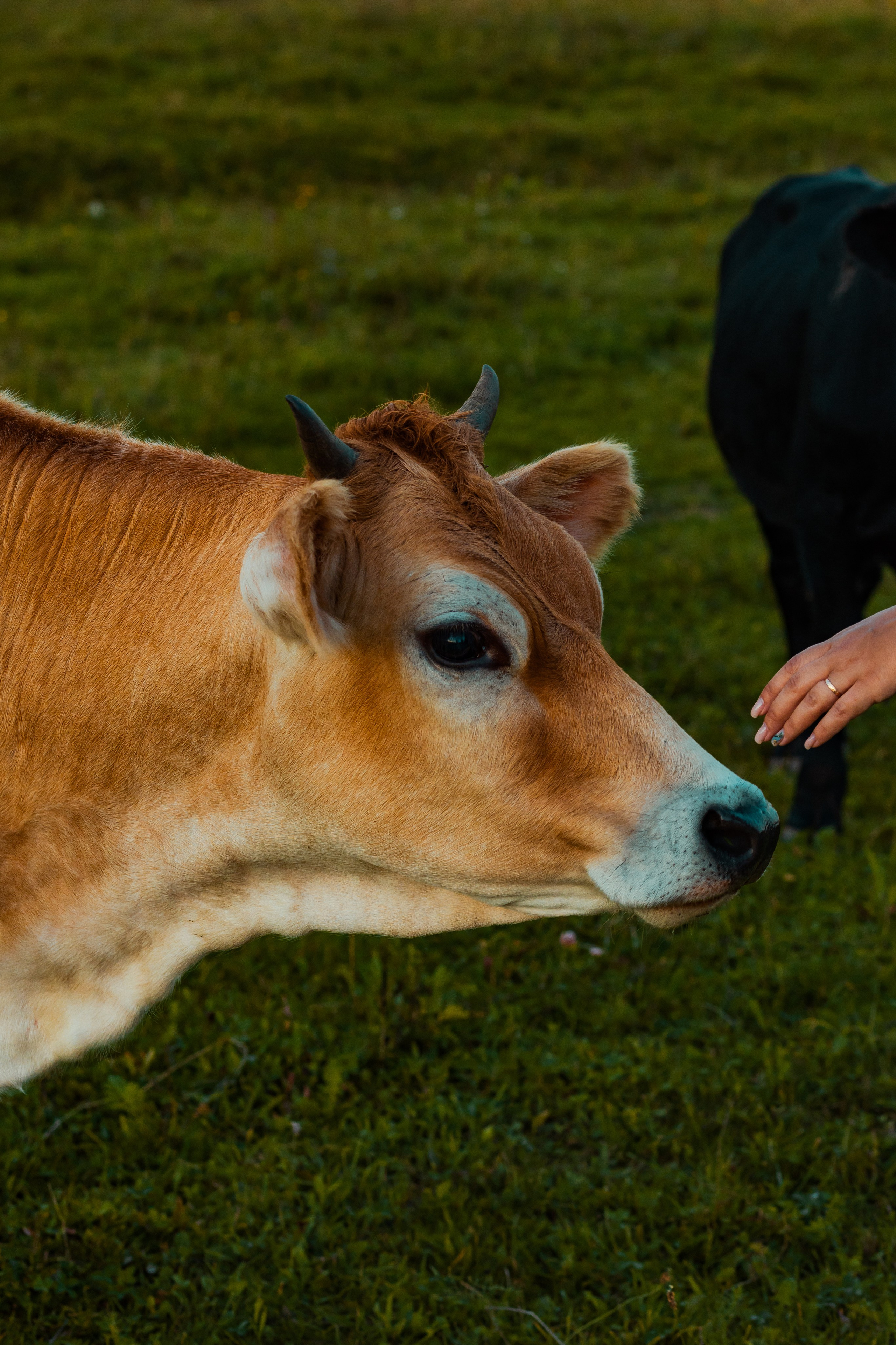 Деревня Мишнево | Калужская область. Папка кадров 📁