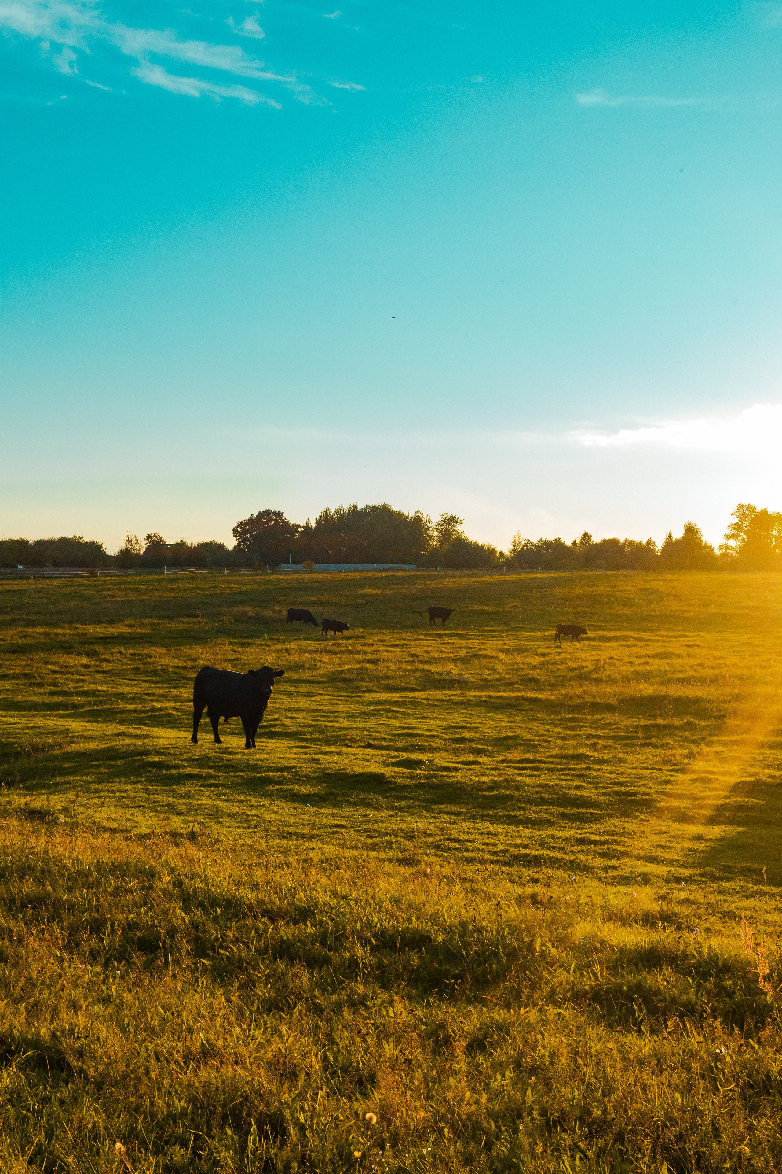 Деревня Мишнево | Калужская область. Папка кадров 📁