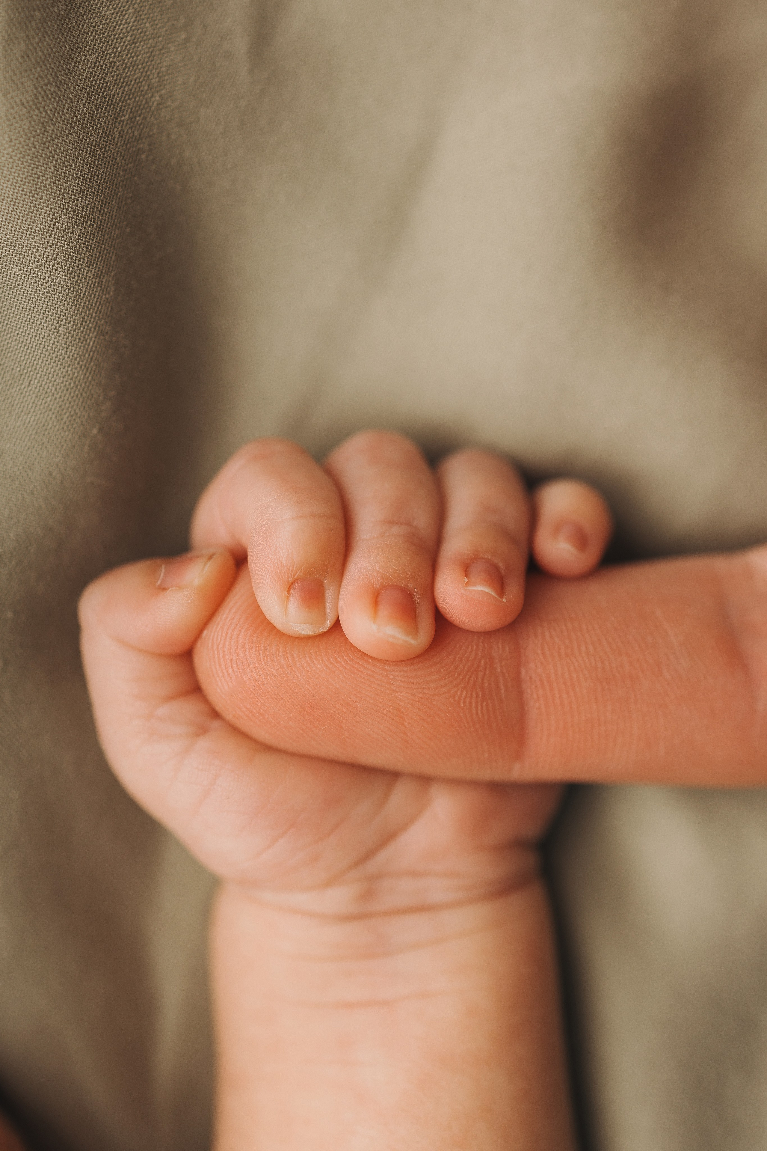 Арина. Фотограф новорождённых Newborn Москва