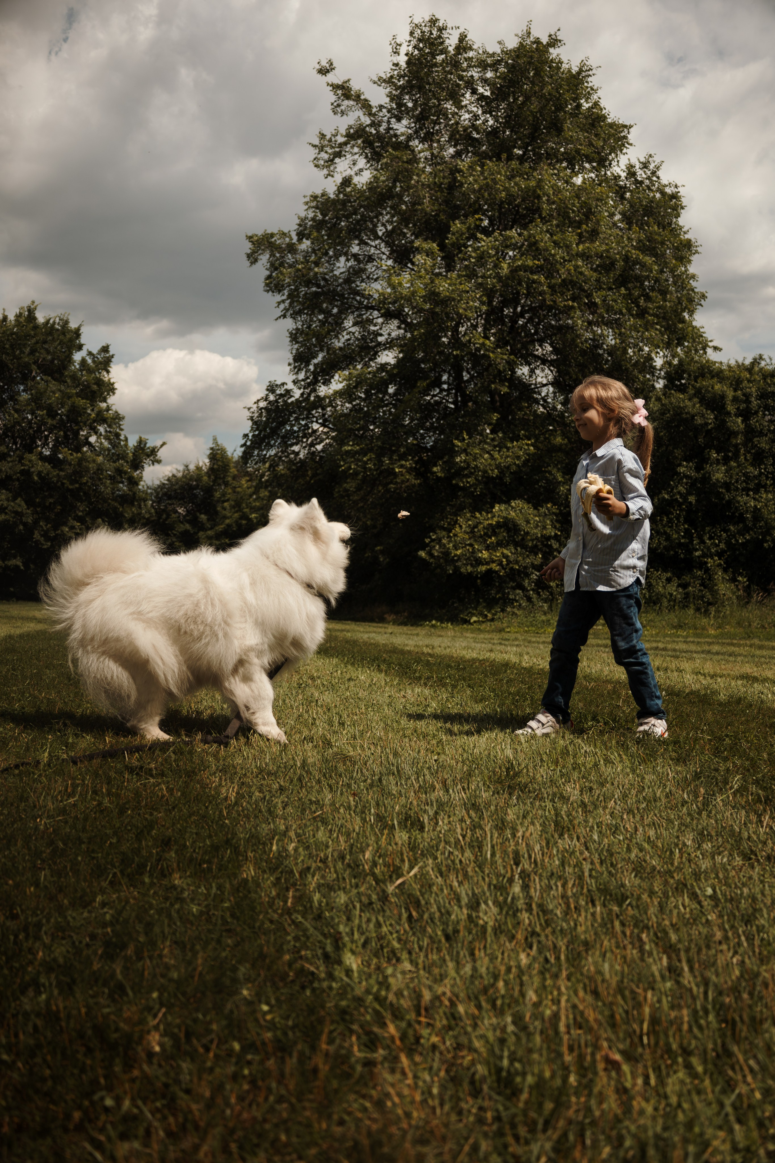 Семейная фотосессия с собаками в парке. Фотограф-анималист в Москве Екатерина Тихонова