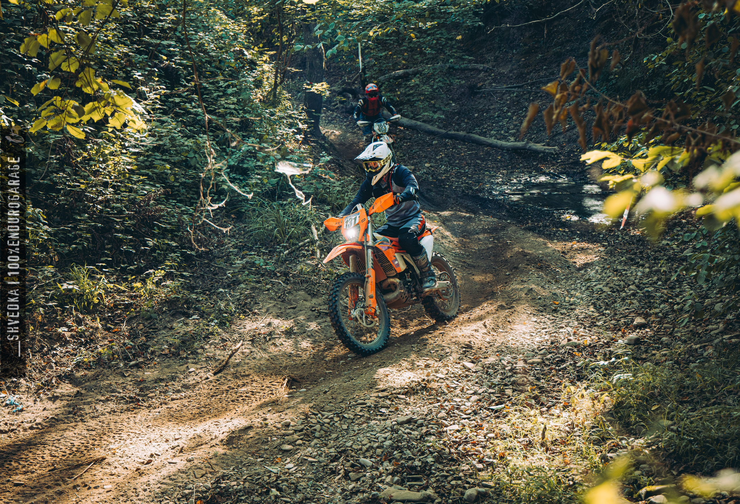 2 лесной день. Ваш экстрим фотограф Кудрева Яна