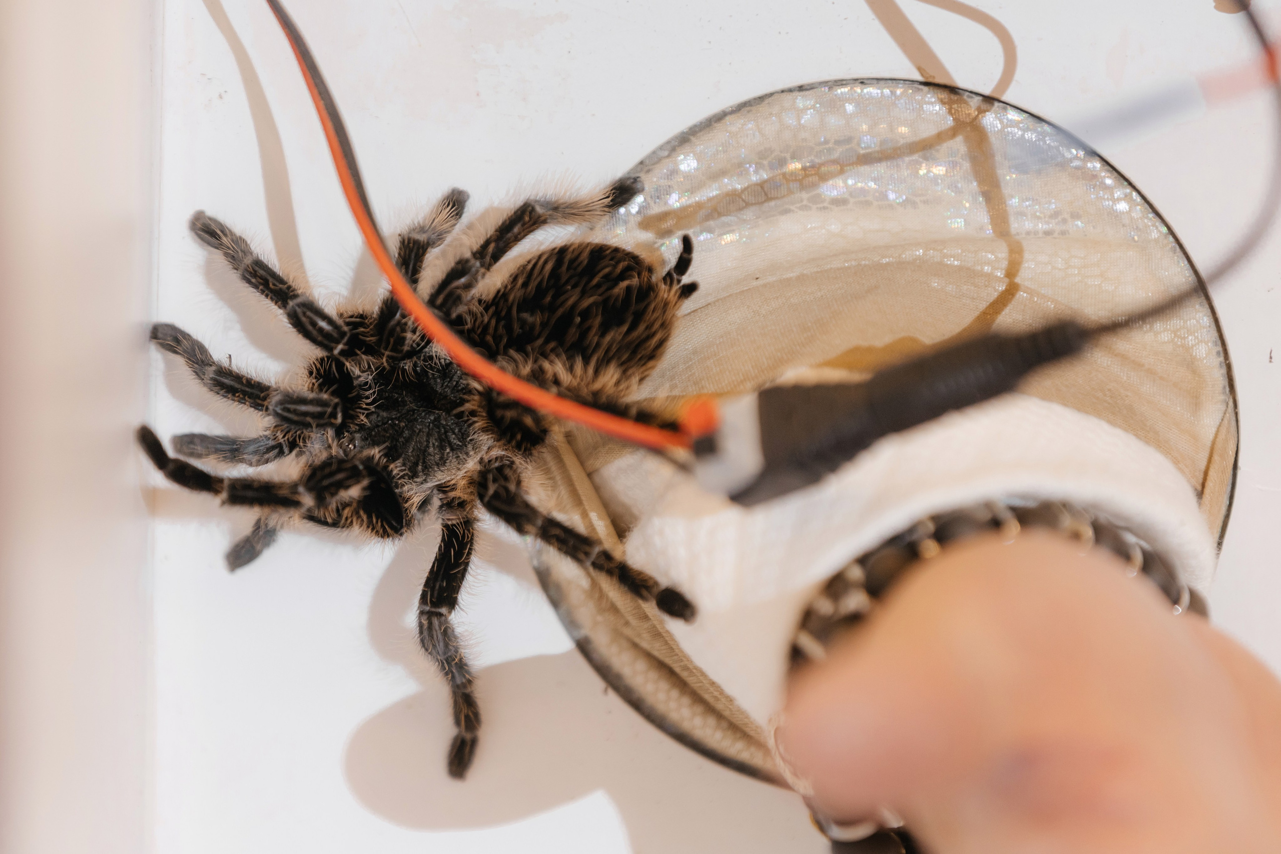 Юбилей Яны. Свадебный и Репортажный фотограф Нижний Новгород Москва Ежов Иван