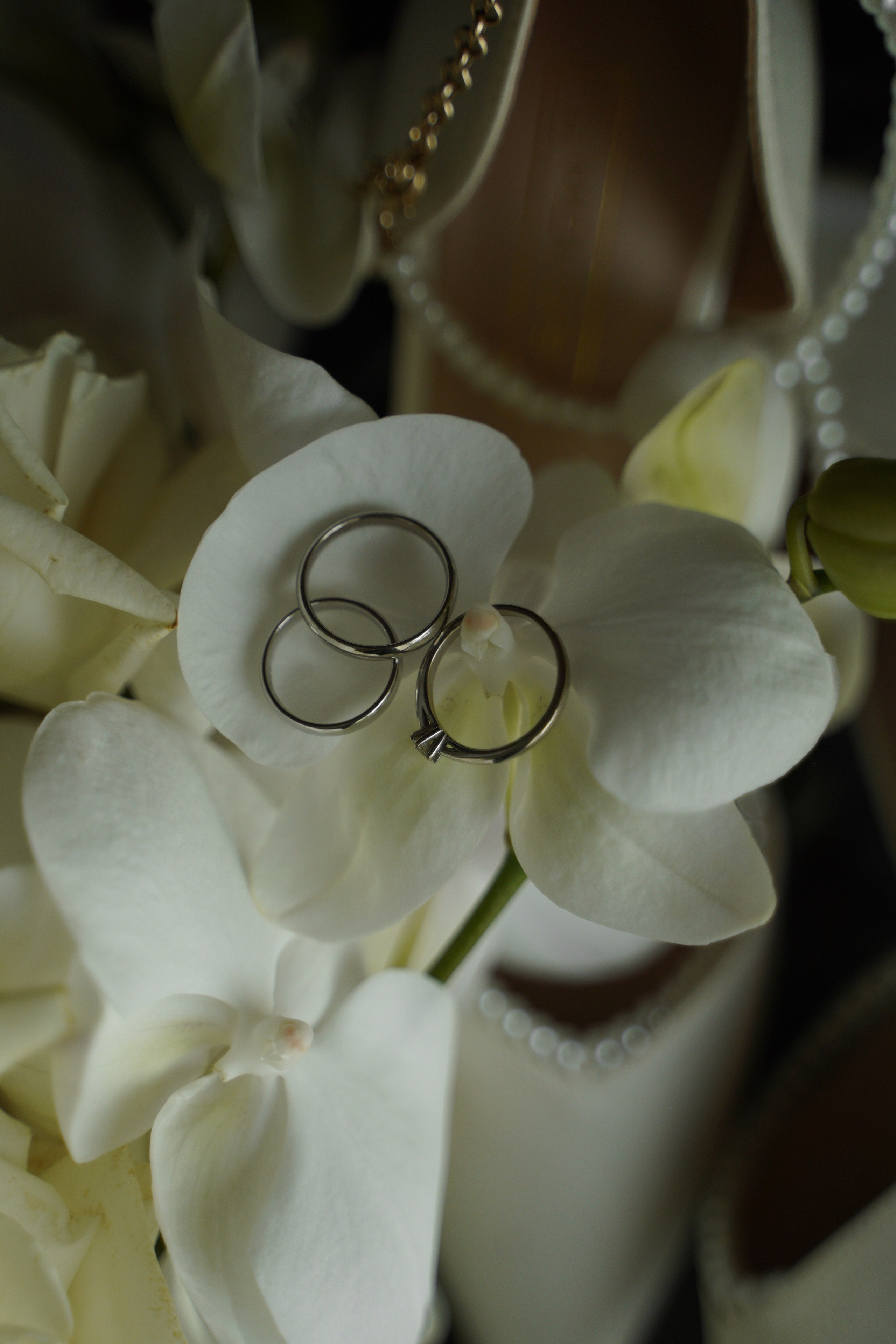 Свадебный фотограф Марина Попова