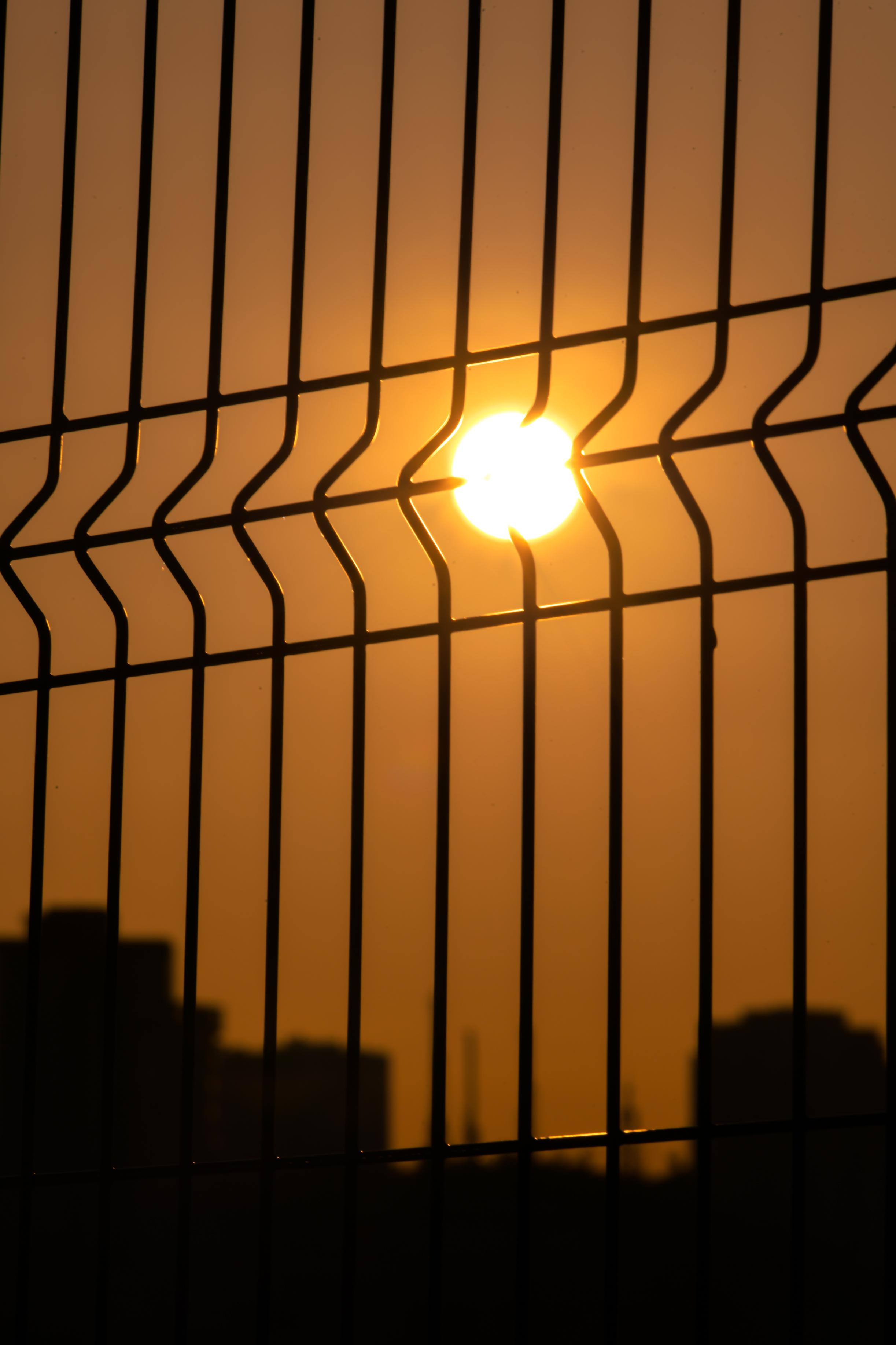 рассвет владивосток