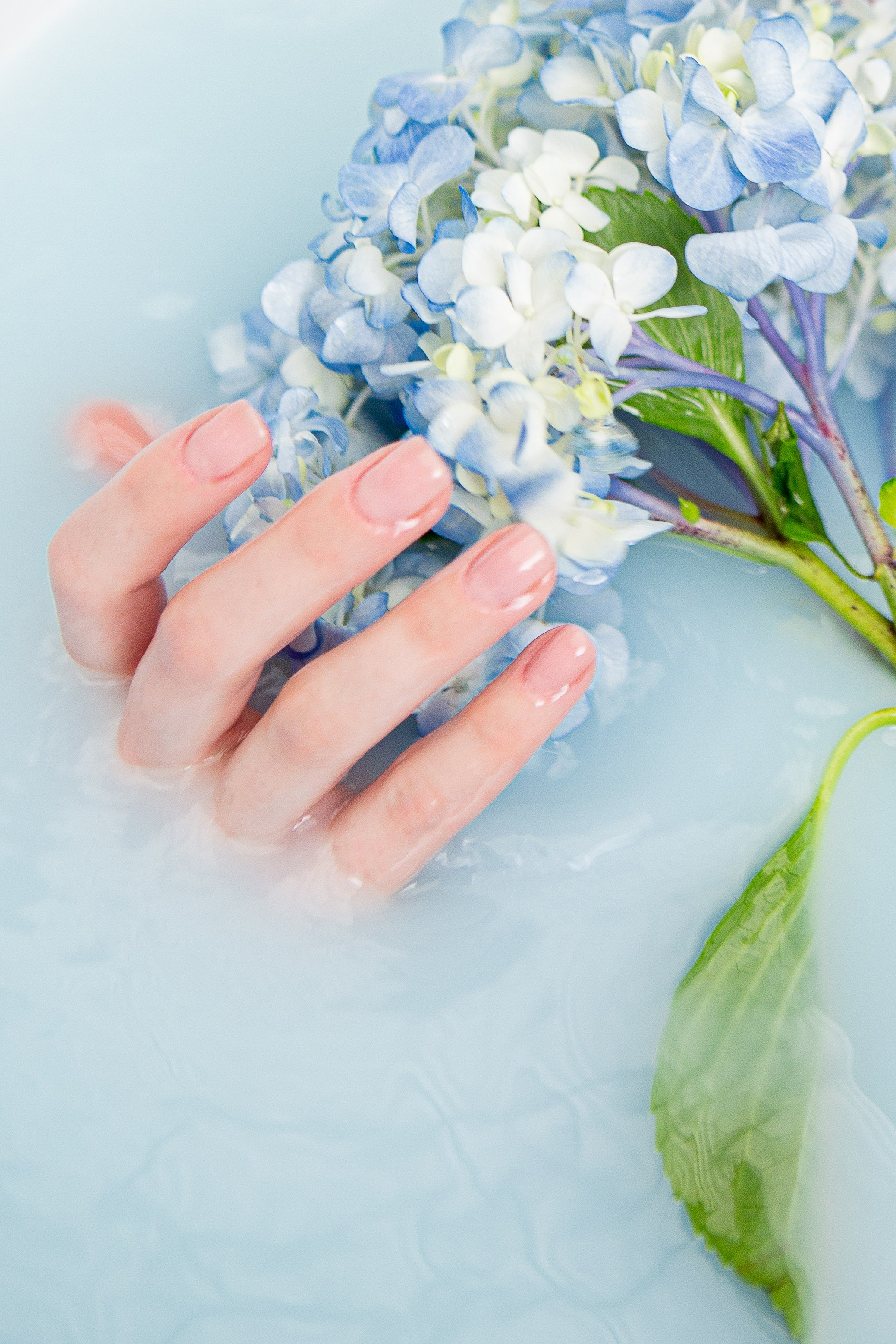 Голубое молоко. Фотограф Екатерина Голицына