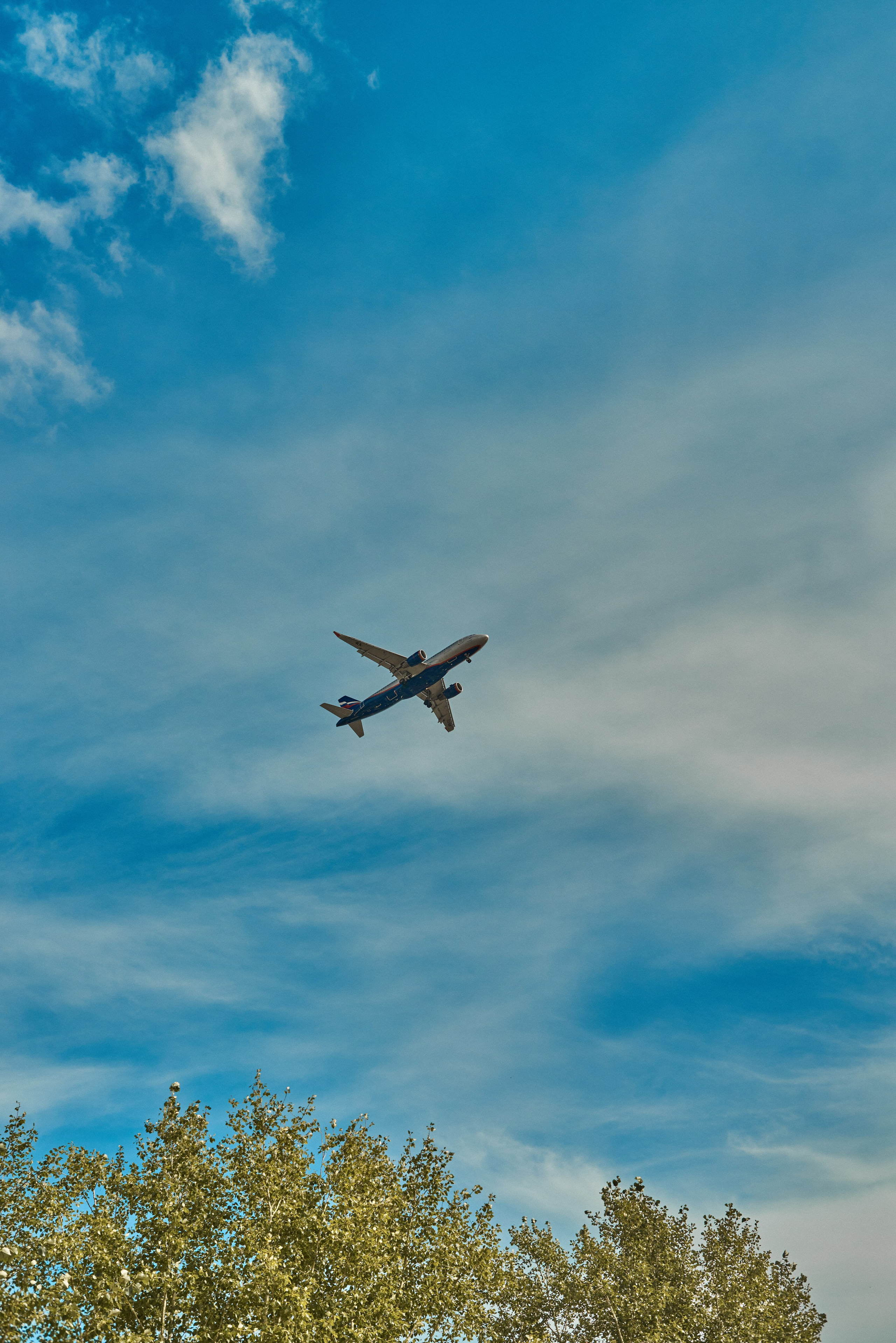 2024. Марфин. Фотограф