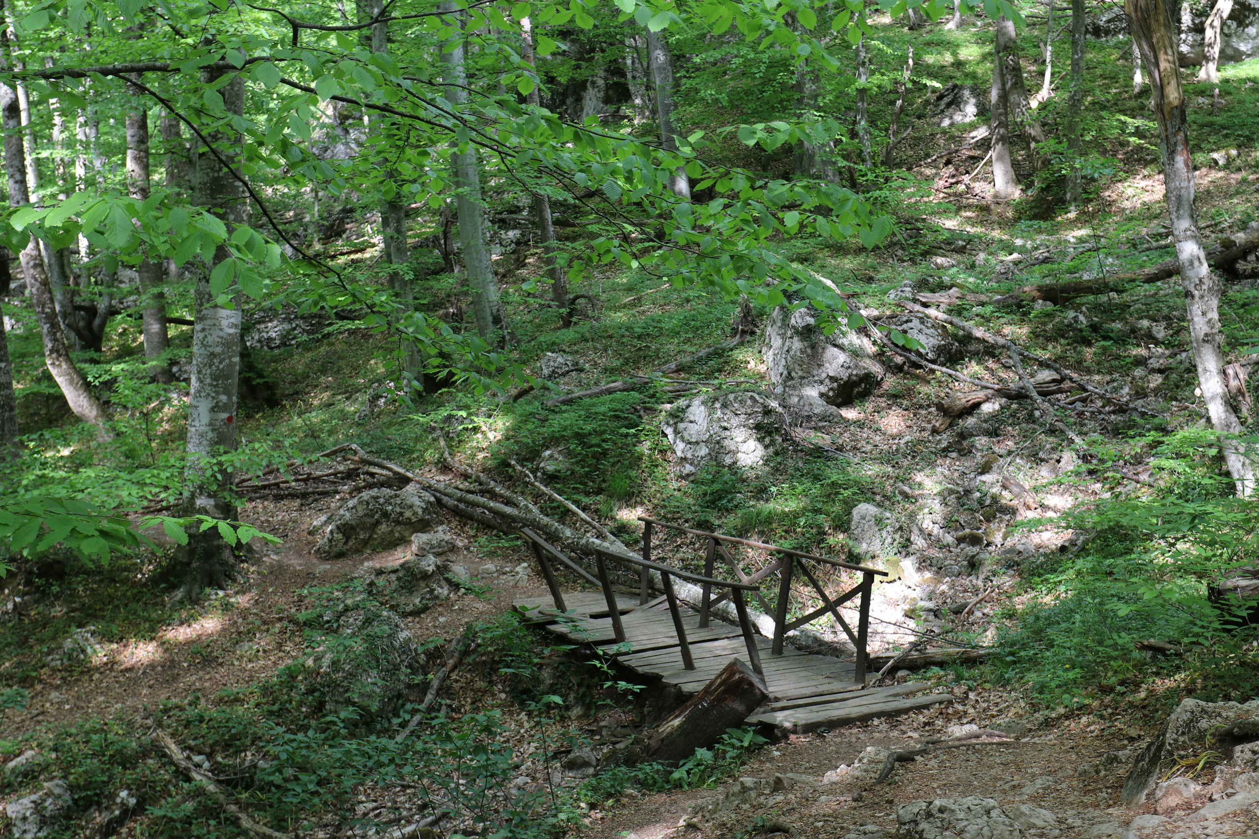 Крым. ЮБК (Бахчисарай, Демерджи, Судак). Первый скалолазный выезд. Май 2019. Путешественник-фотограф из Санкт-Петербурга Татьяна Свистулина