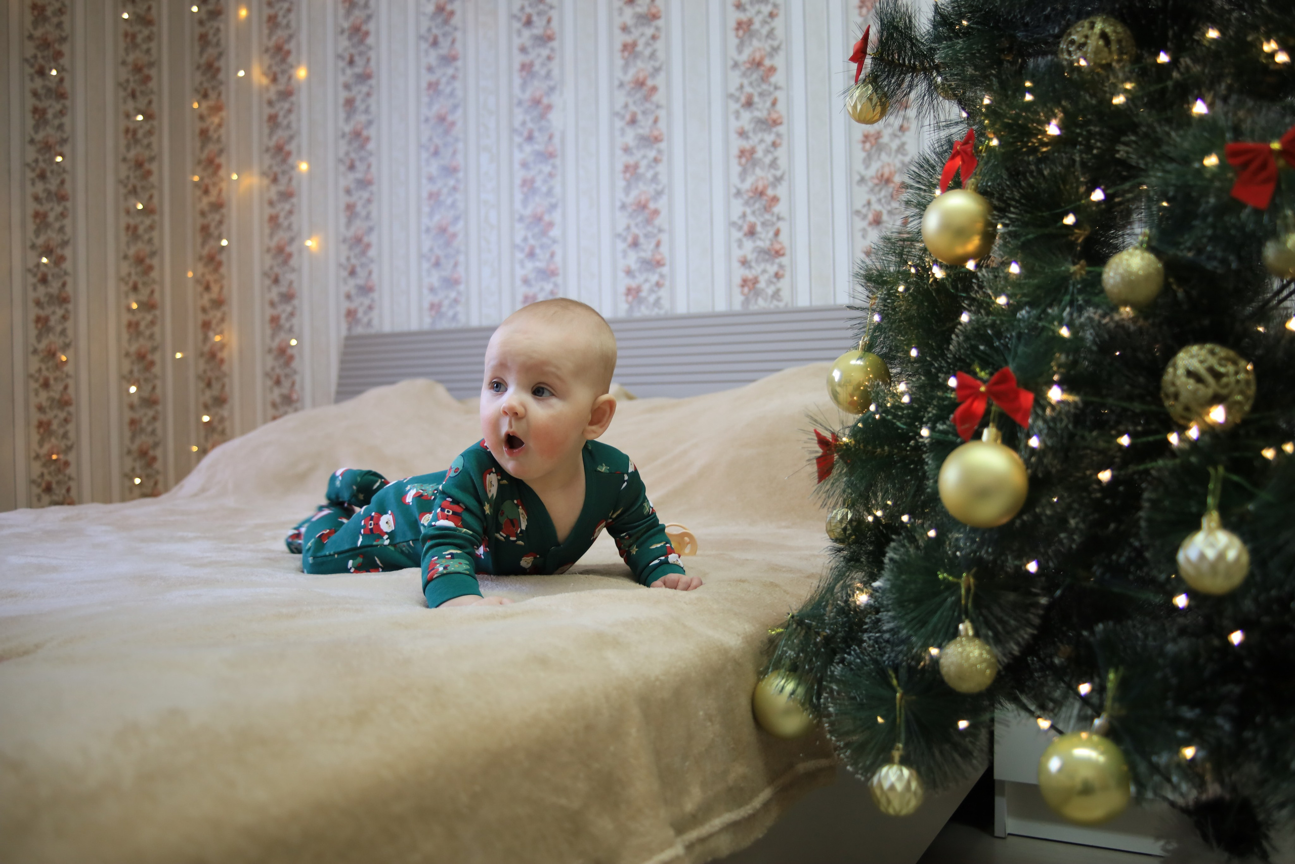 Милый Новый год 2026. Алексей Климков. Фотограф для Вашего бизнеса и частных съемок в Минске и по Беларуси