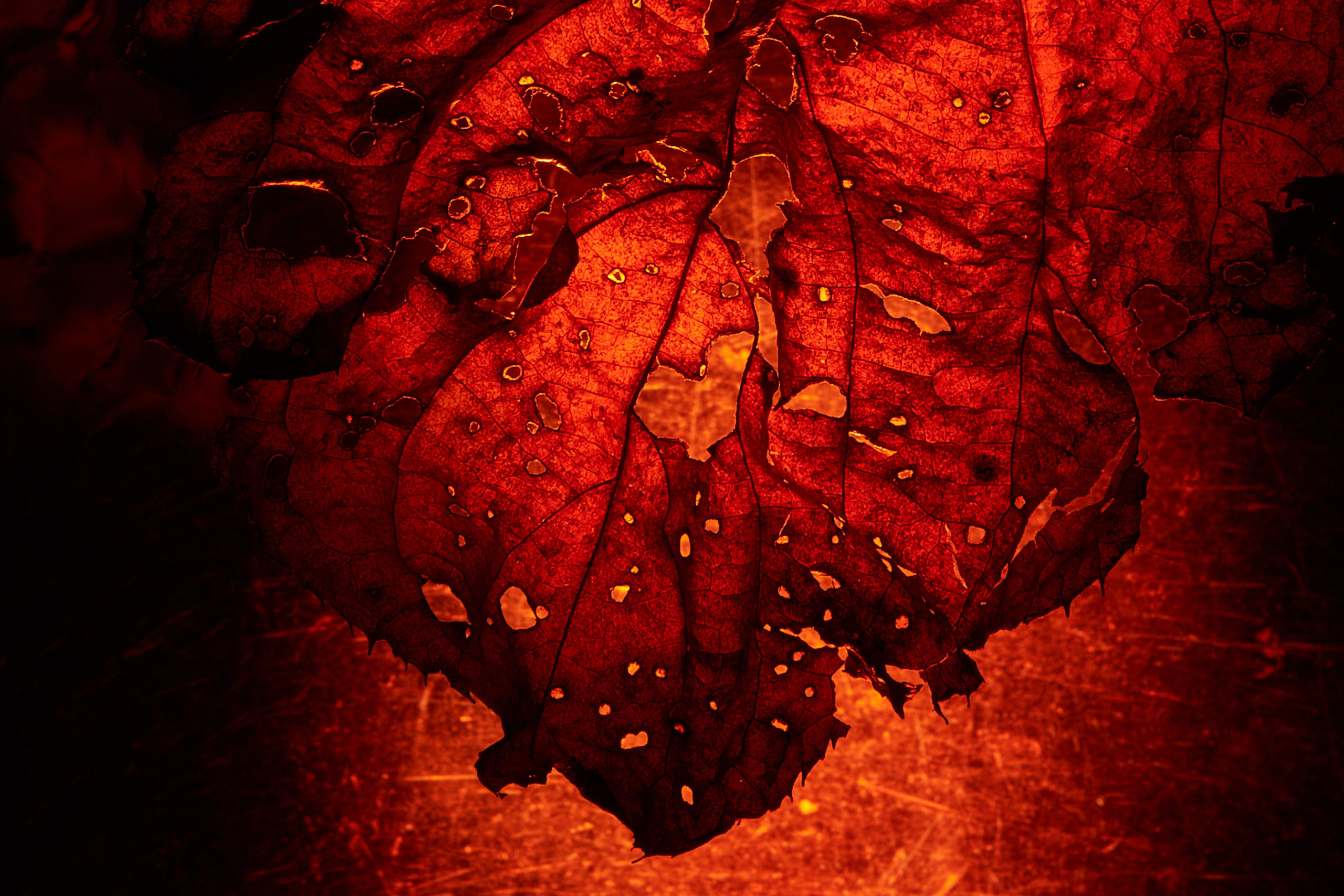 Арт-фотограф во Владивостоке Дмитрий Осипчук