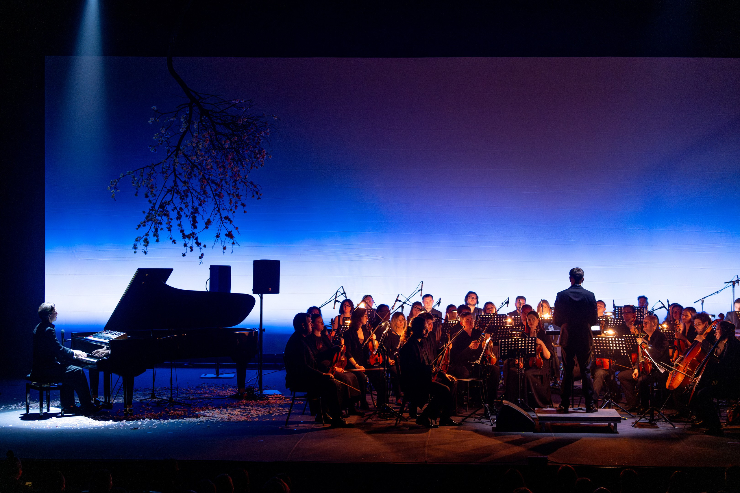 Никола Мельников / 2024. OOPS