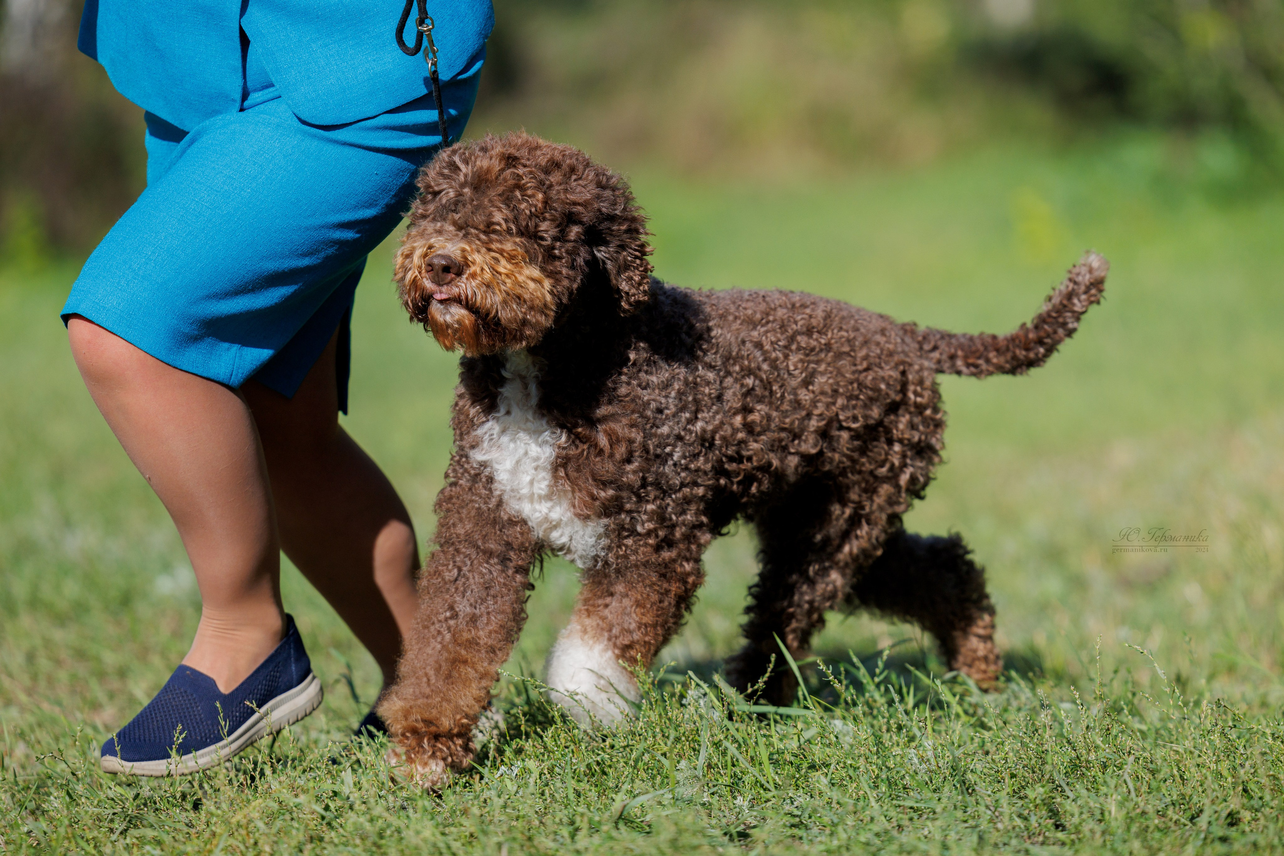 Астана 2хCACIB 17-18.08.2024. Фотограф-анималист Юлия Германика