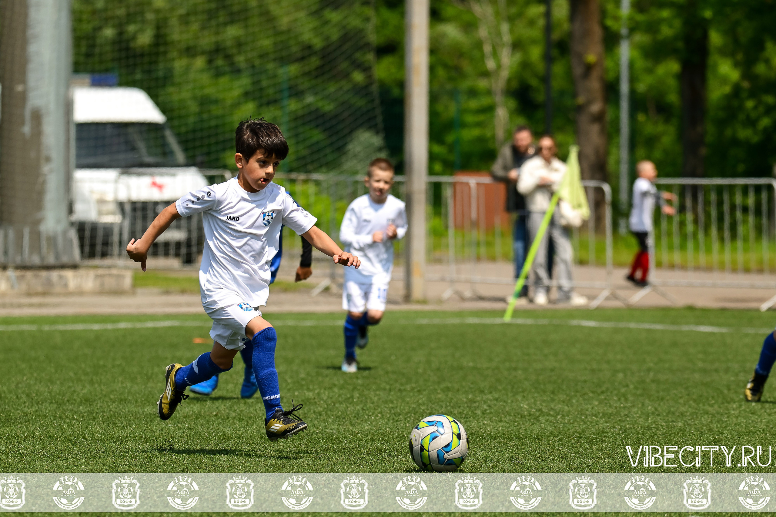 Большие Звезды светят Малым. VIBECITY.RU Вайб Сити Ру Фоторепортажи Фотоотчеты Калининград