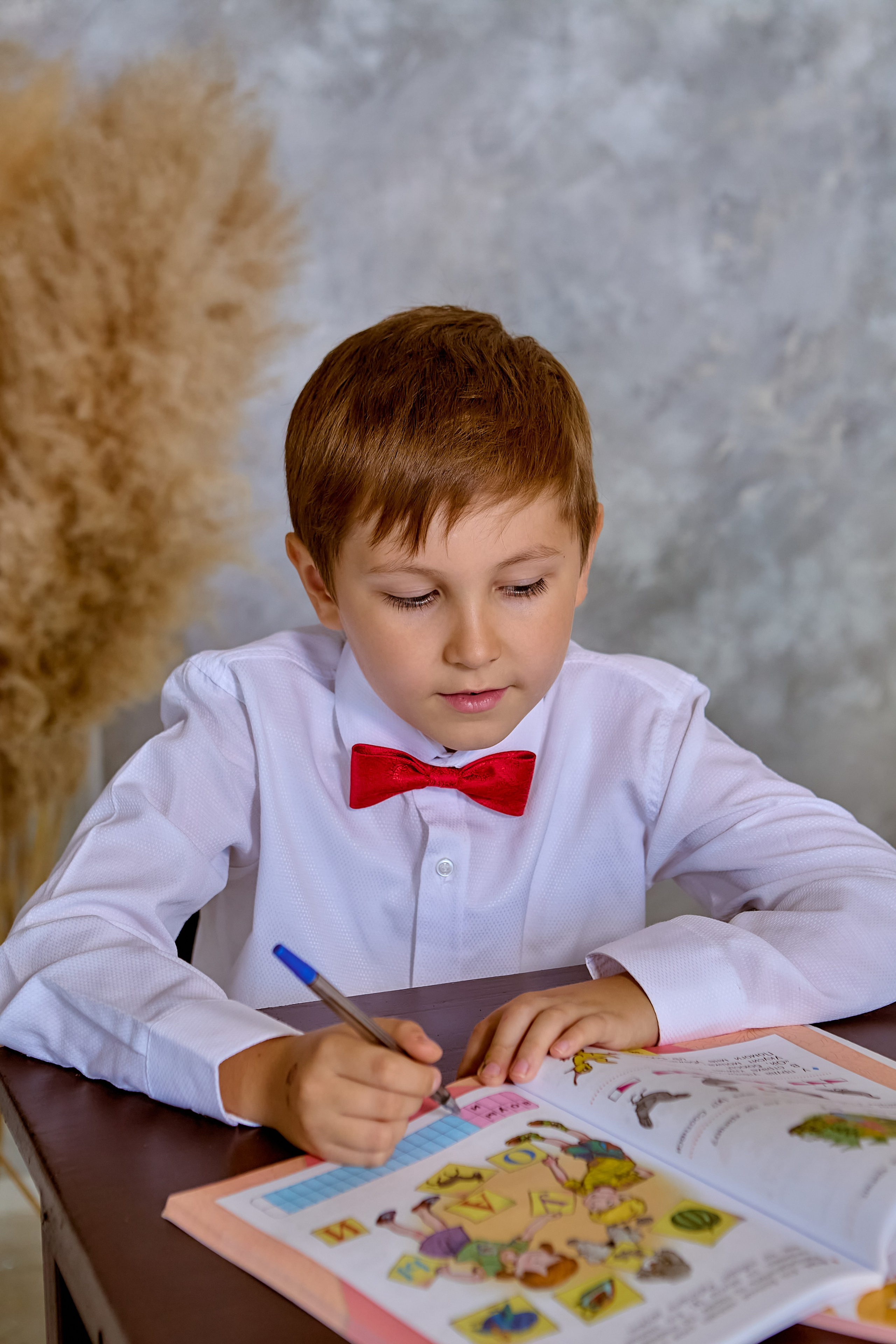 Ученик за партой. Портрет ученика.