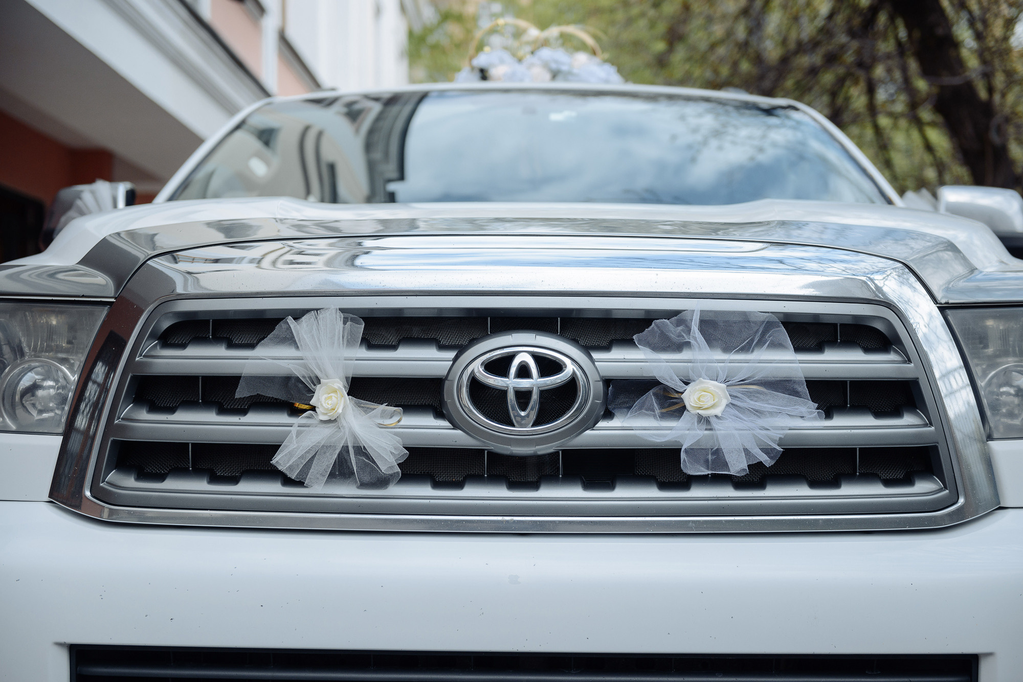 Анонс. Свадебная фотосессия Марианны и Юрия. Свадебный и семейный фотограф Александр Клюев