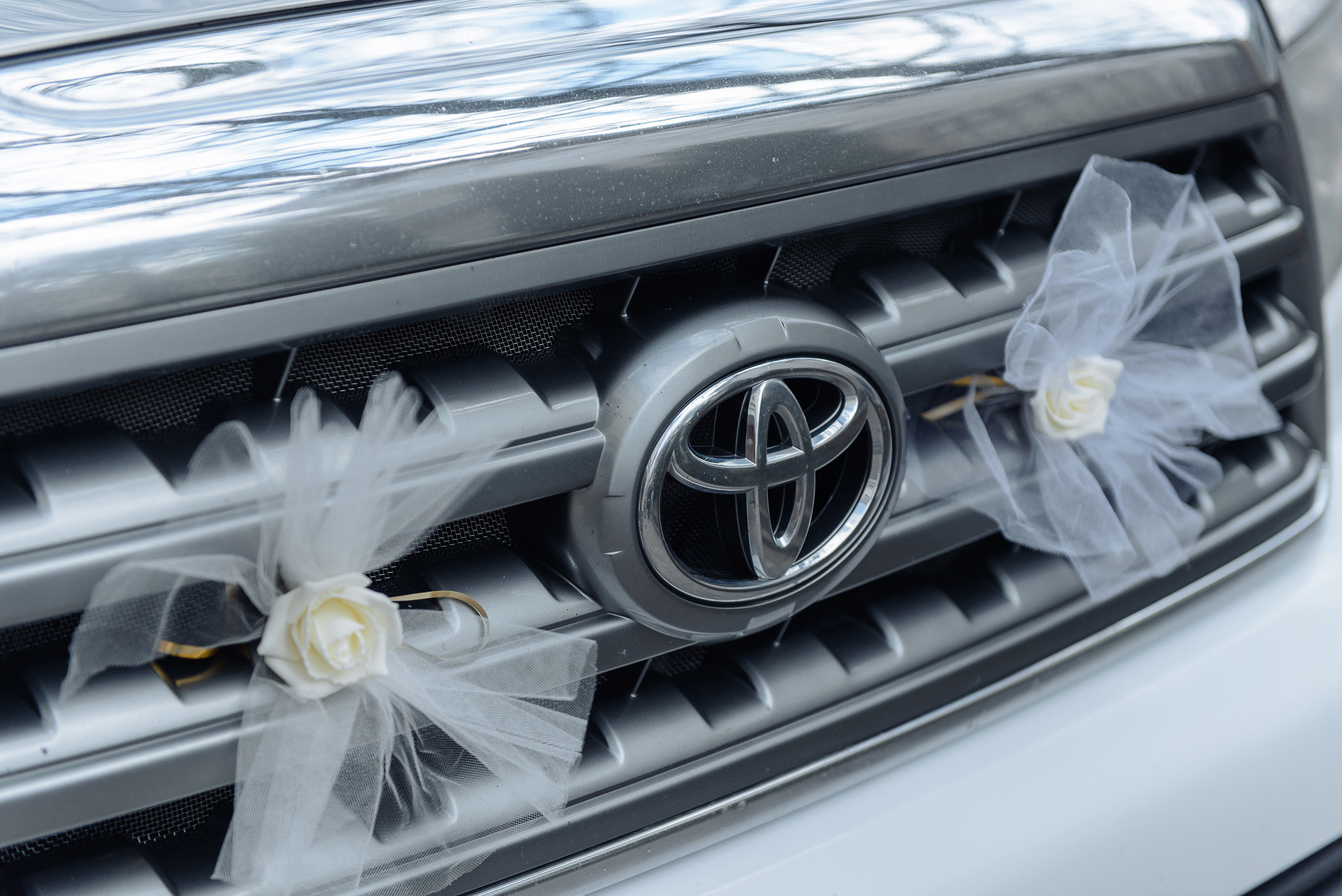 Анонс. Свадебная фотосессия Марианны и Юрия. Свадебный и семейный фотограф Александр Клюев