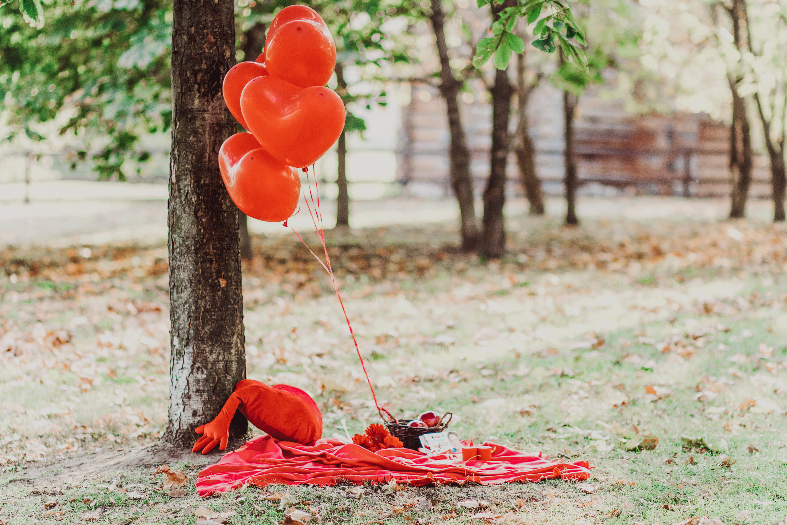 KIDS STORY. Фотограф и Видеограф в Москве Дарья Арсентьева