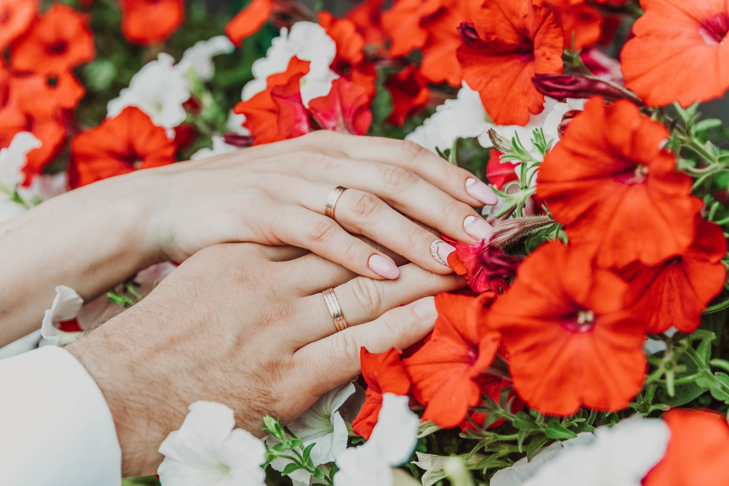 Wedding: Анастасия и Василий. Фотограф и Видеограф в Москве Дарья Арсентьева