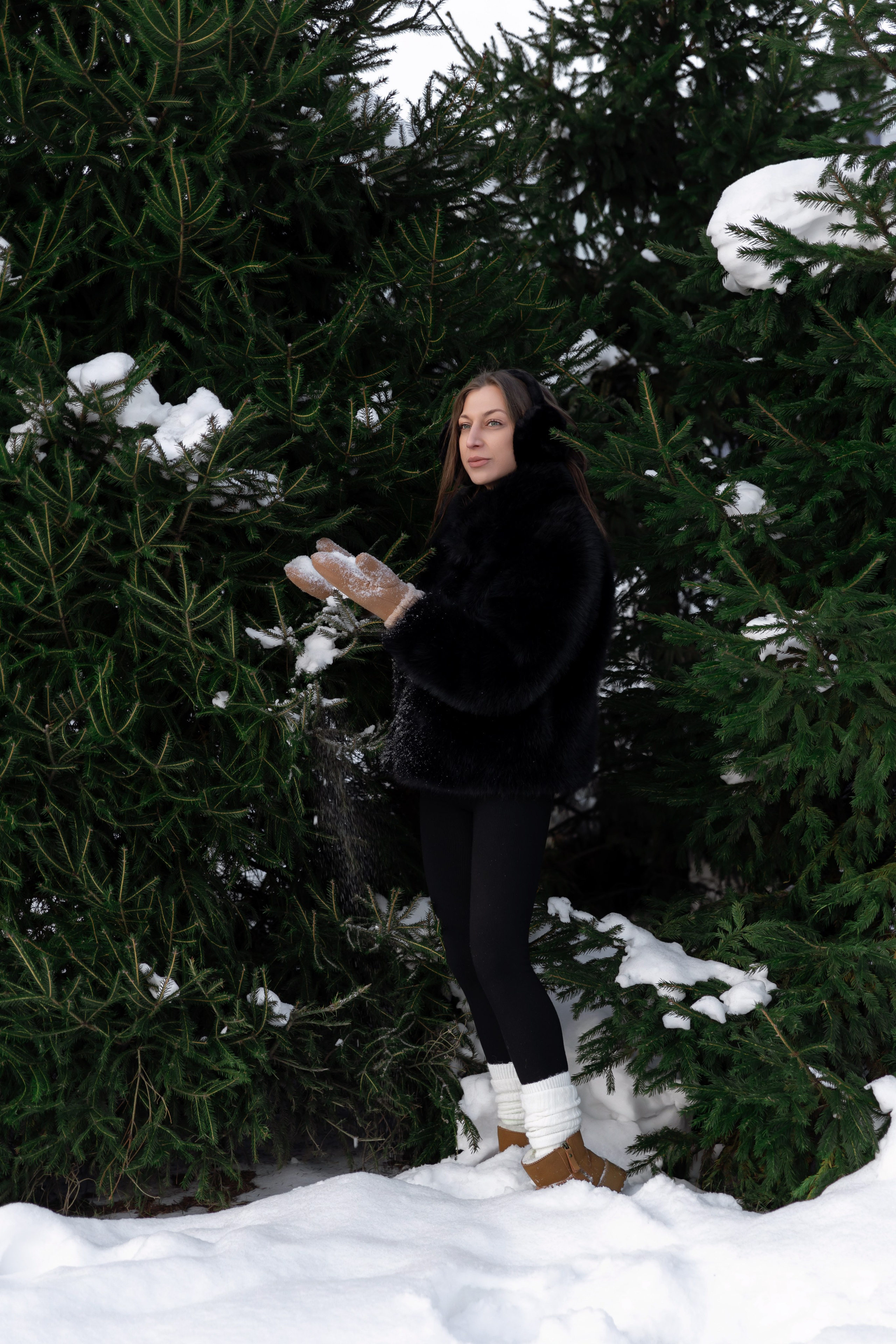 Ли. Фотограф