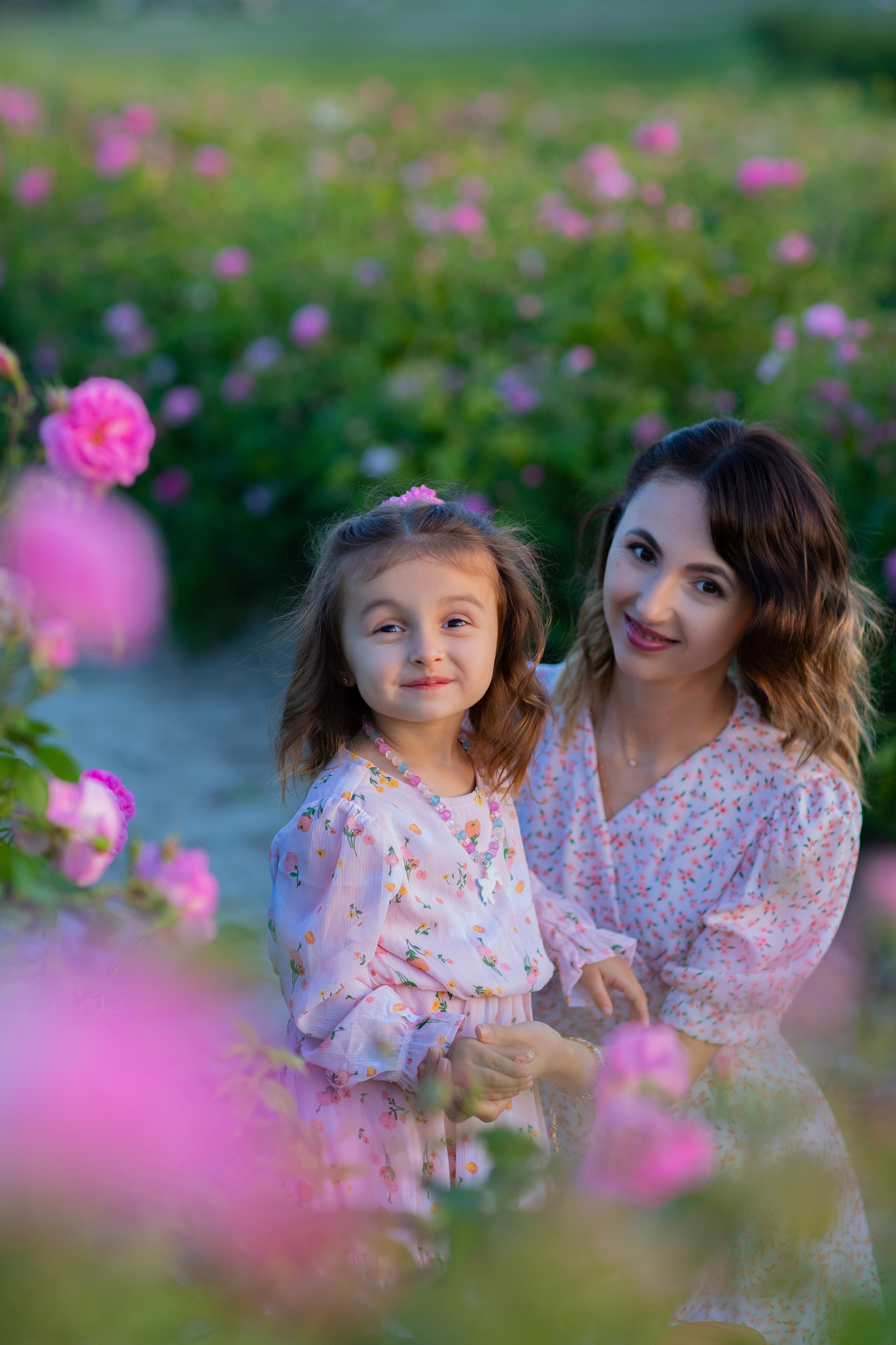 Чайная роза. Фотограф Севастополь/Крым Светлана Евтушенко