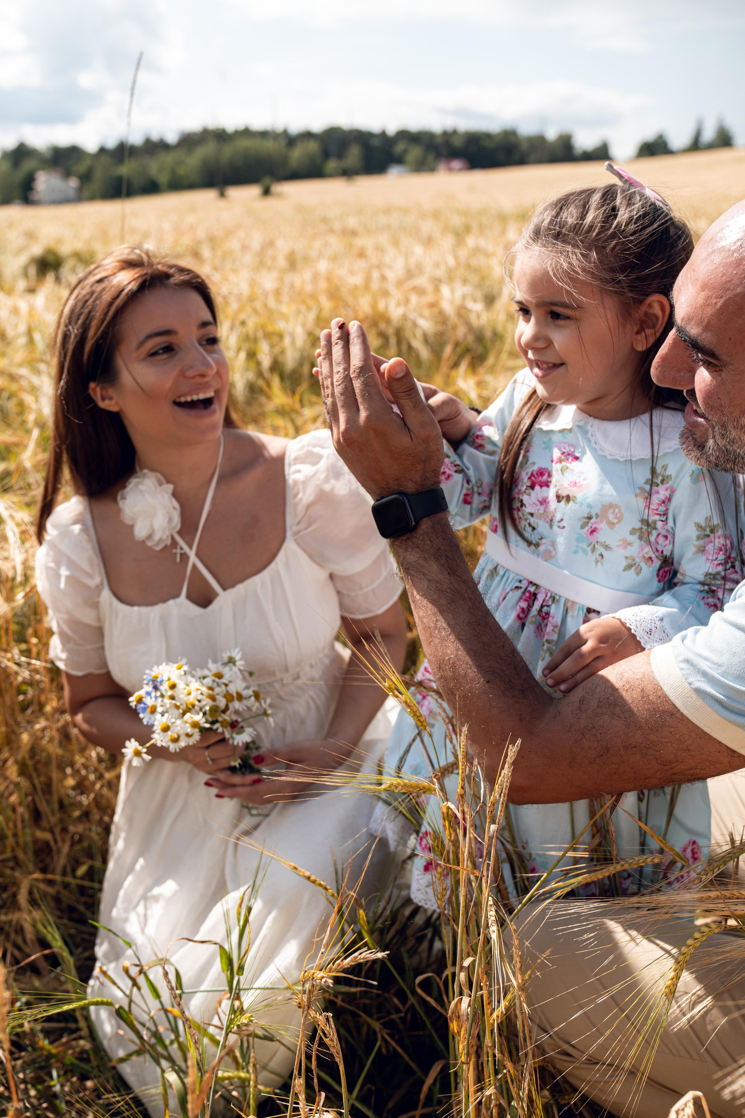 Золотое поле. ...........