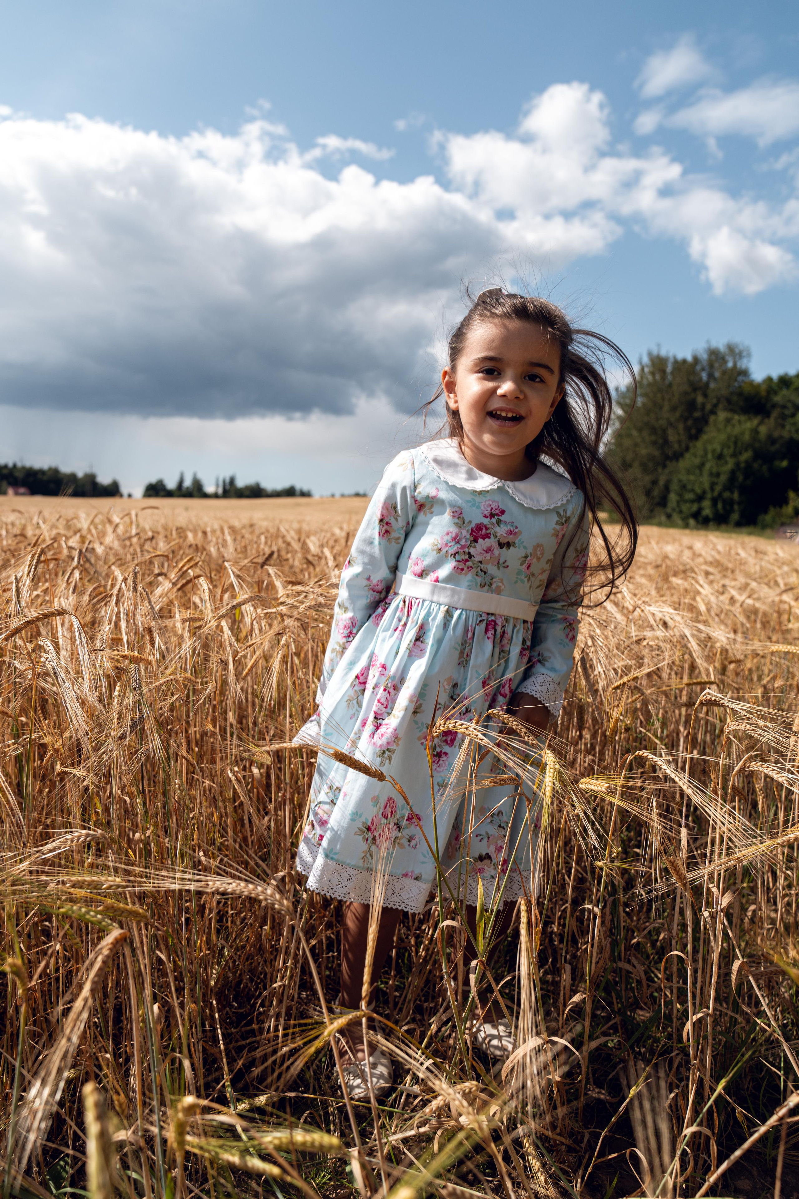 Золотое поле. ...........