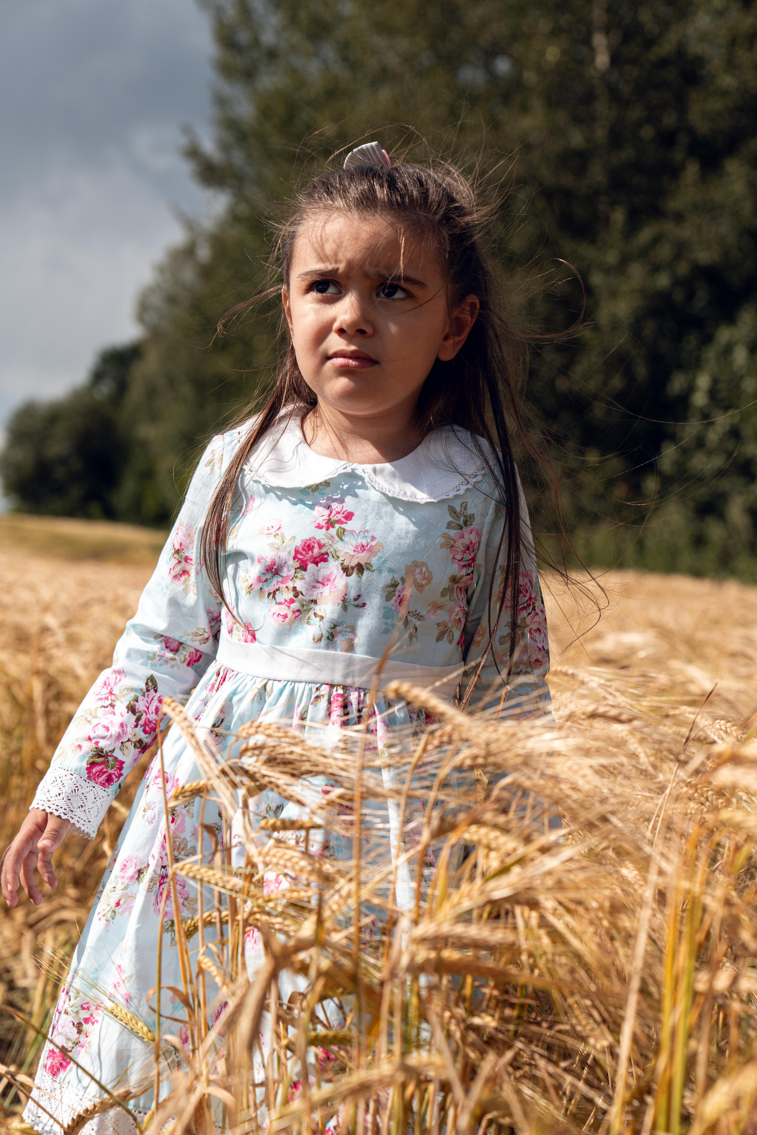 Золотое поле. ...........