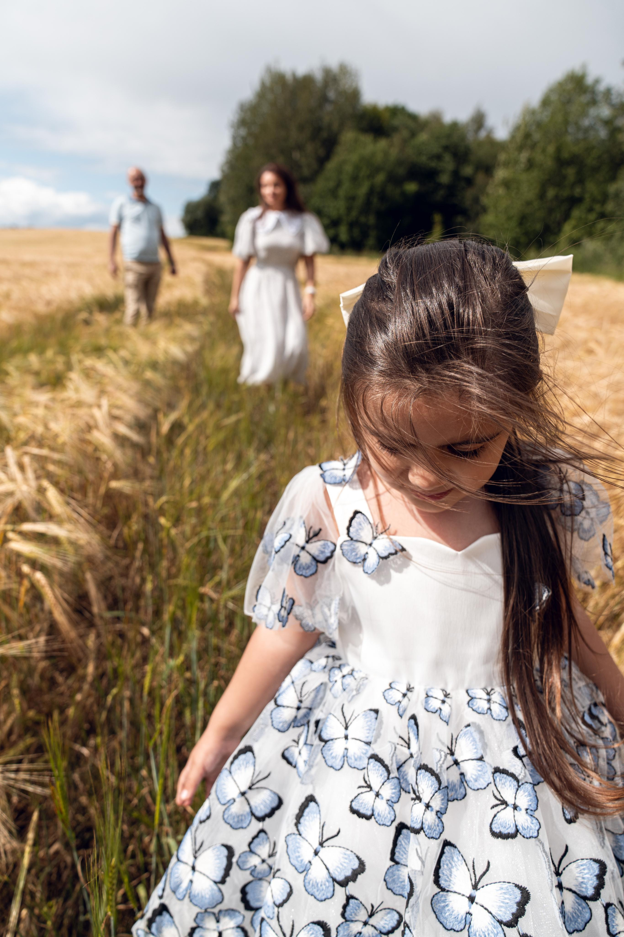 Золотое поле. ...........