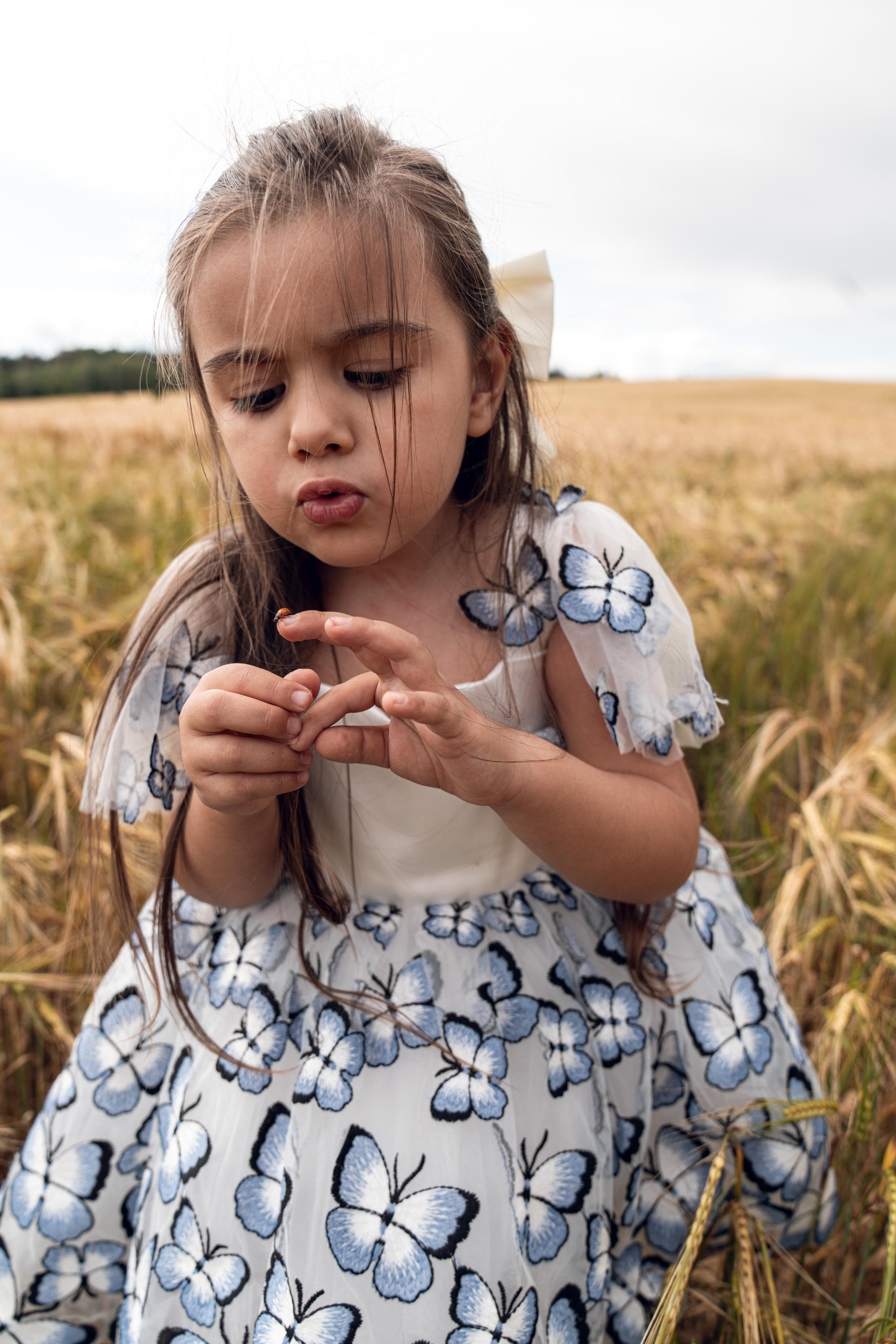 Золотое поле. ...........