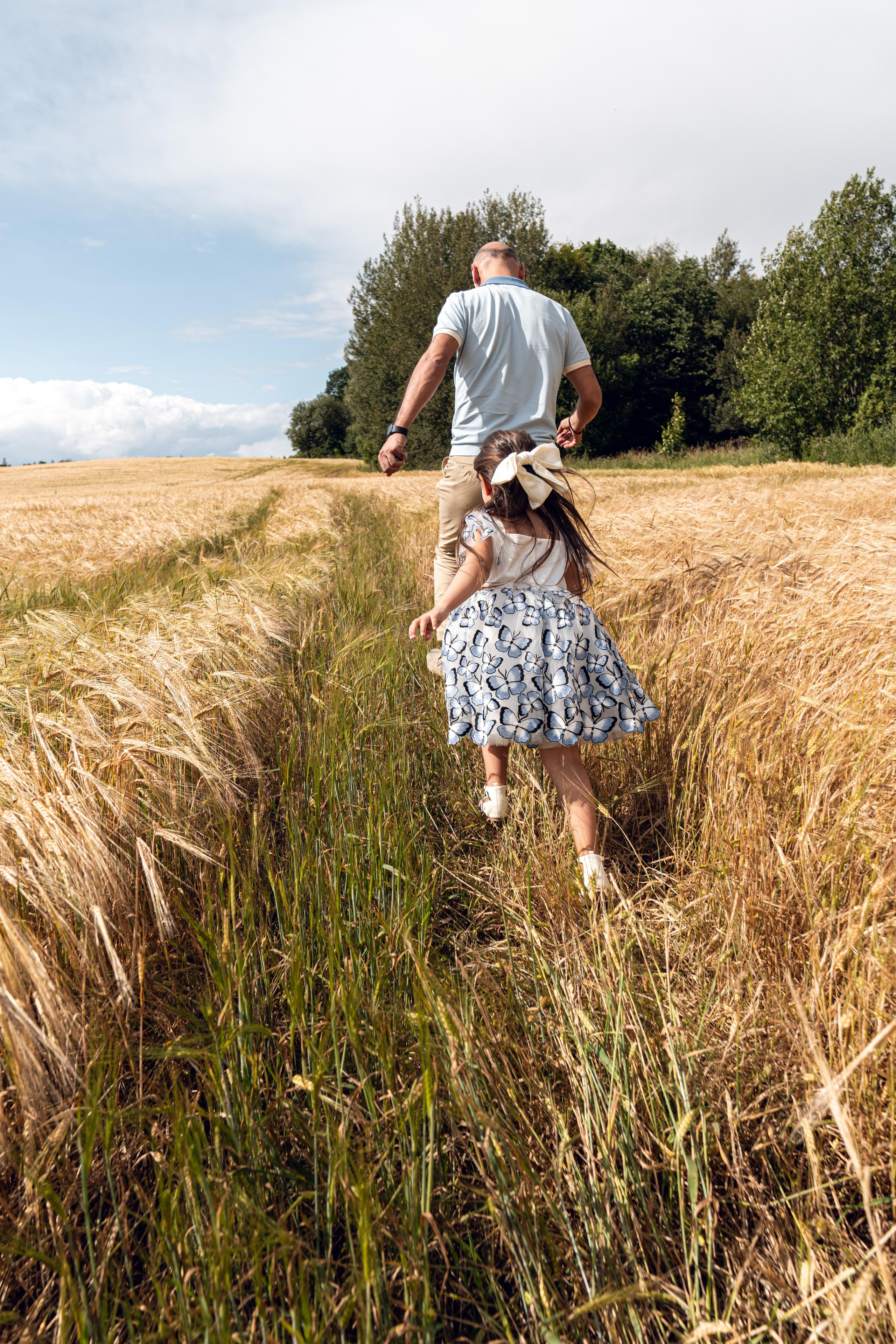 Золотое поле. ...........