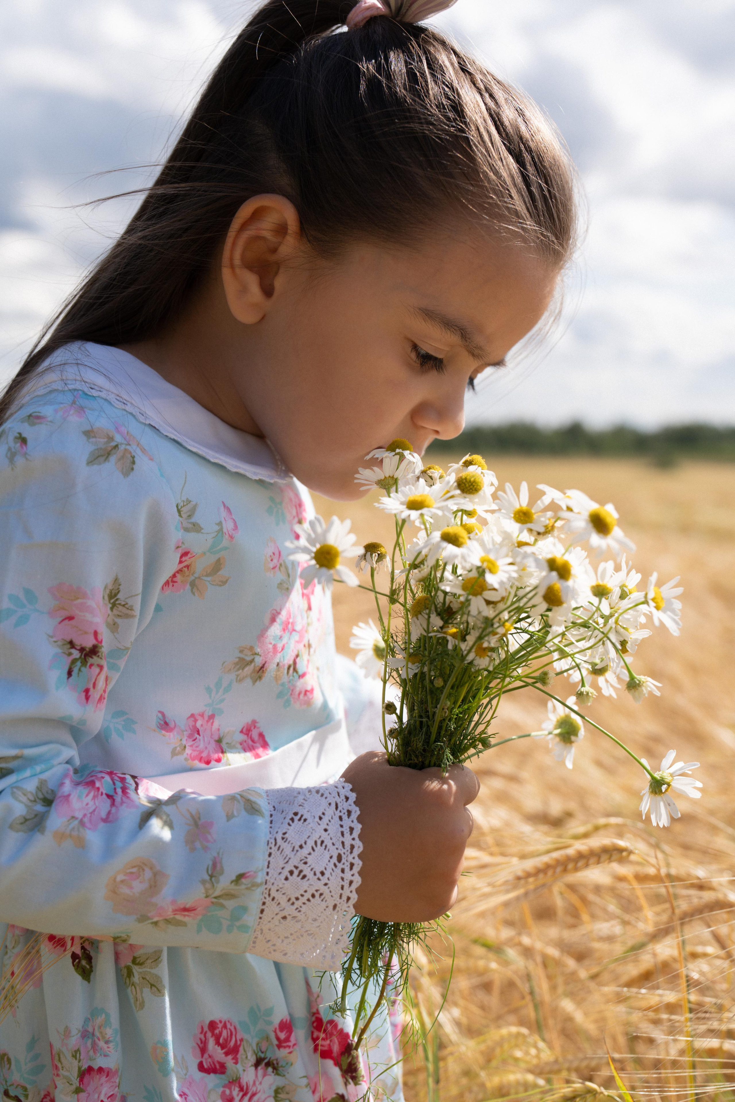 Золотое поле. ...........